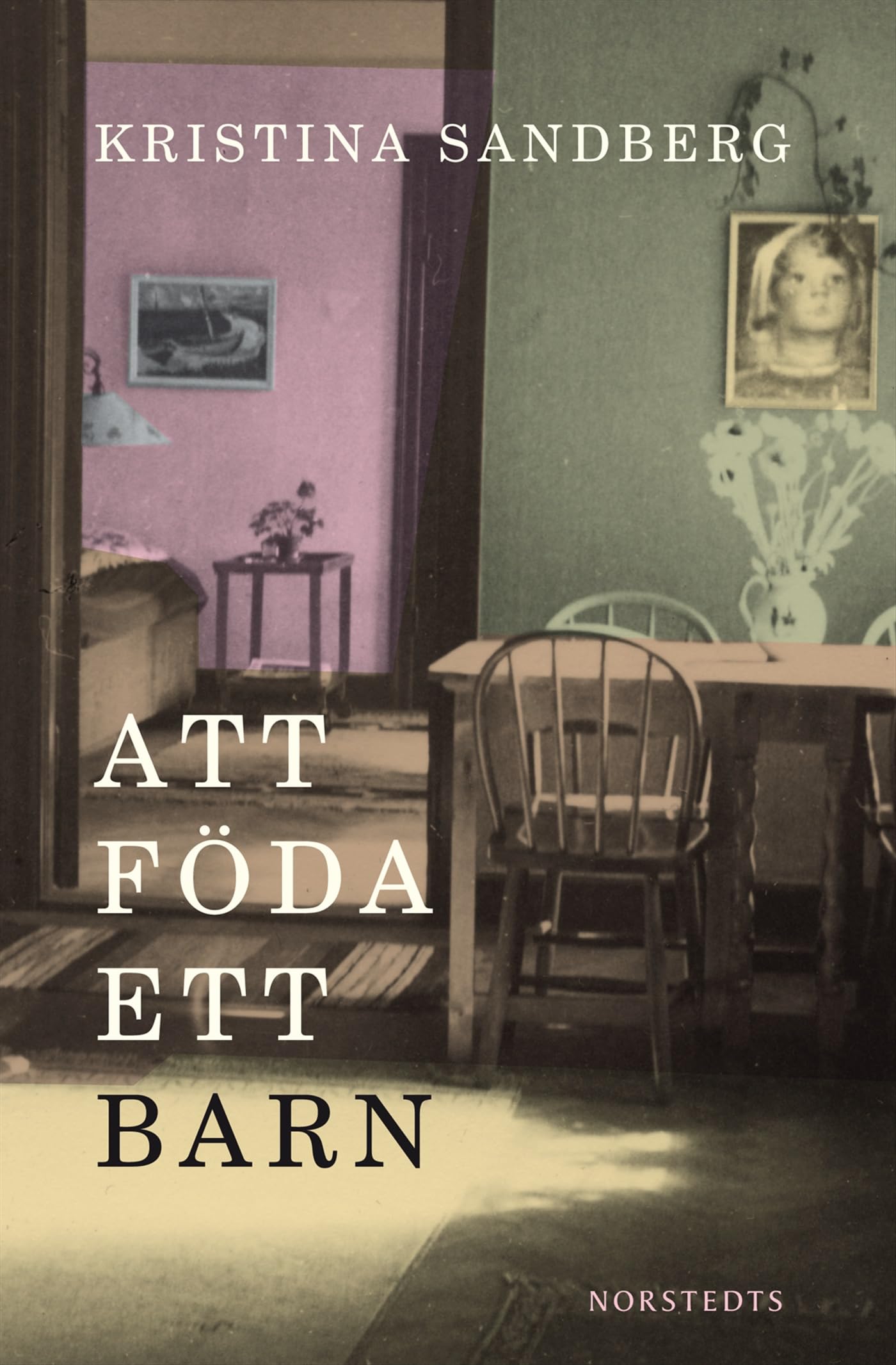Att föda ett barn (Romanen om Maj, Band 1) Contemporary literature