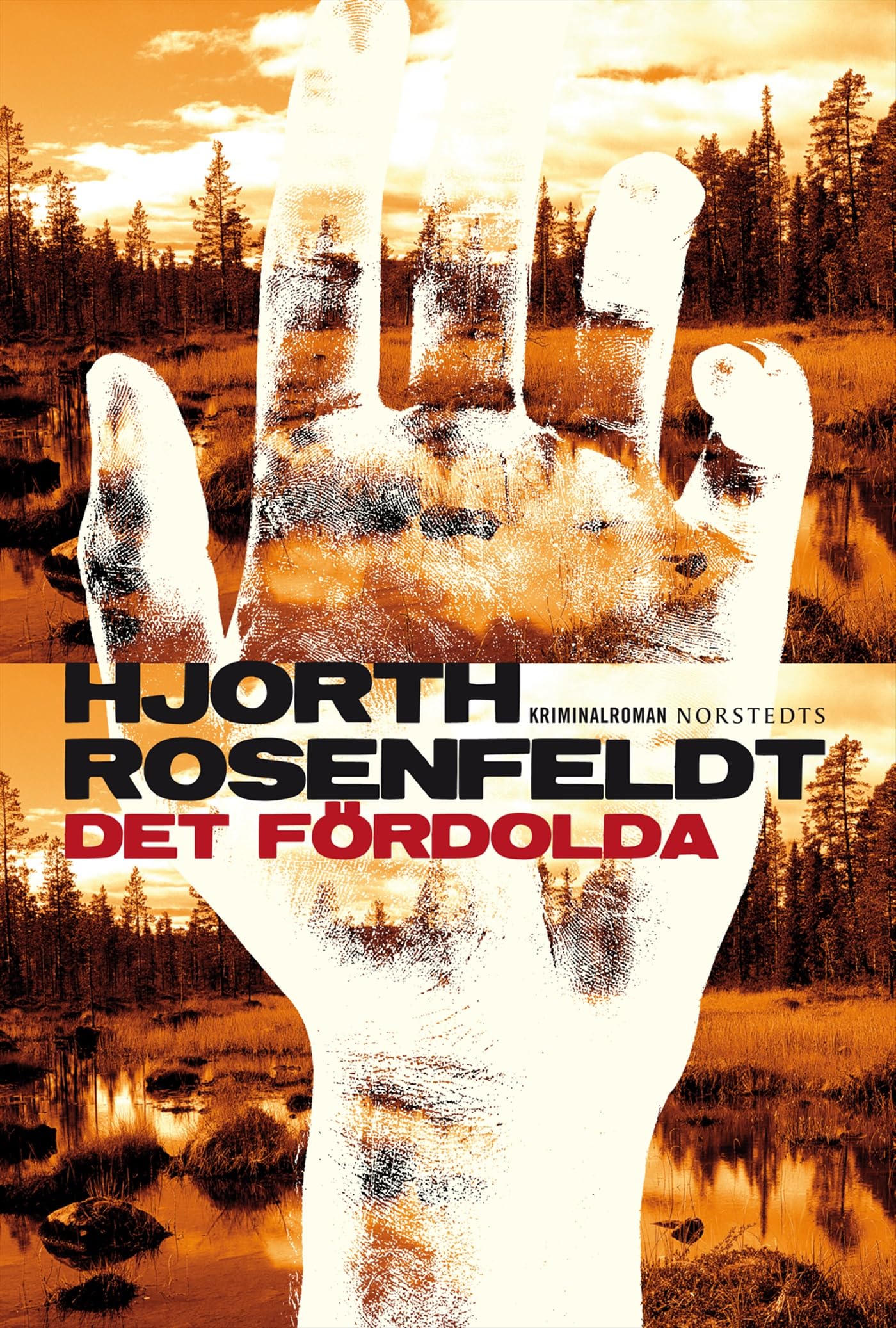 Det fördolda (Sebastian Bergman, Band 1) Contemporary literature