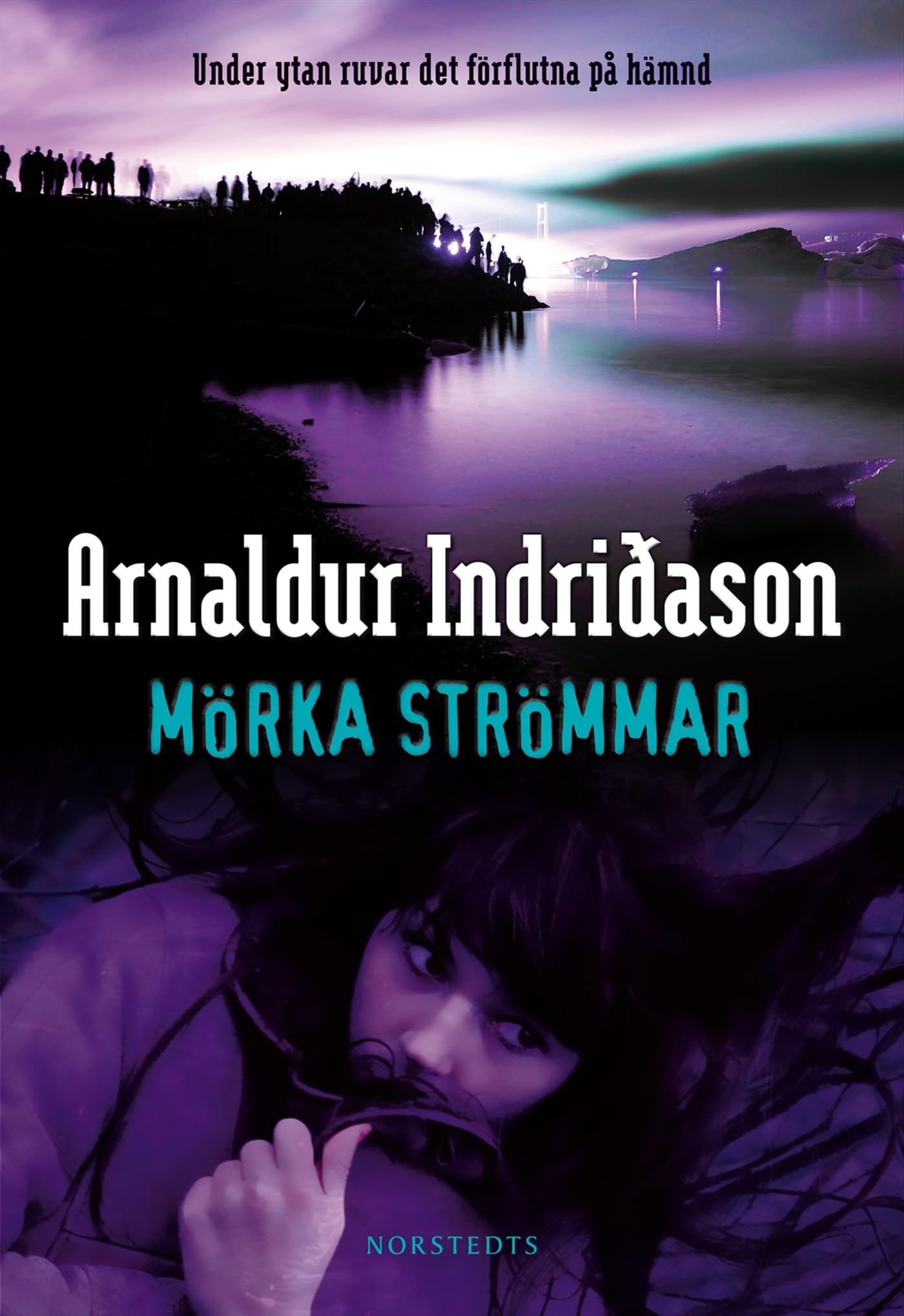 Mörka strömmar (Erlendur Sveinsson, Band 7) Contemporary literature