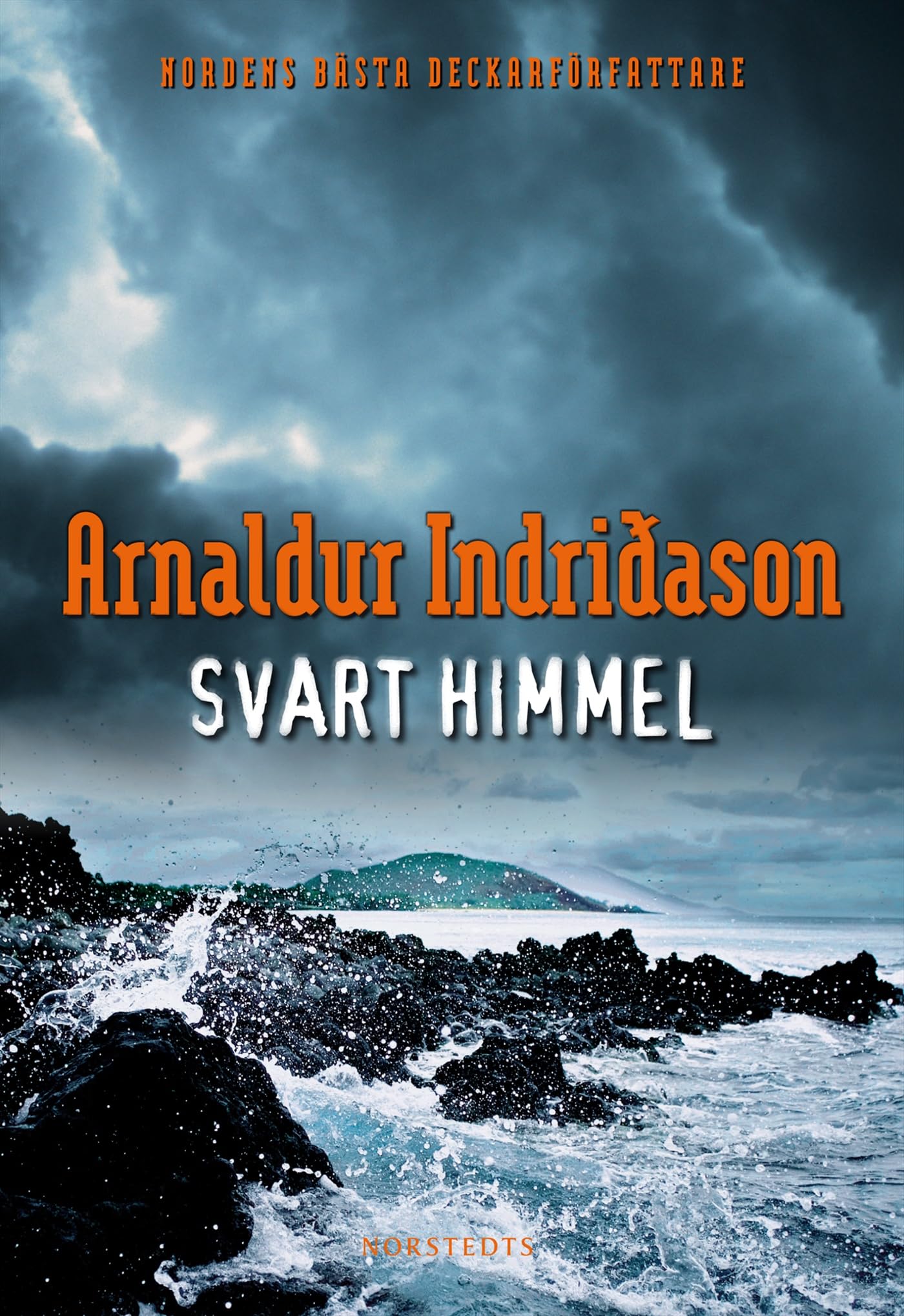 Svart himmel (Erlendur Sveinsson, Band 8) Contemporary literature