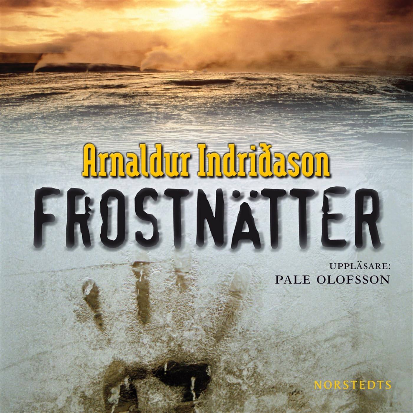 Frostnätter (Erlendur Sveinsson, Band 6) Contemporary literature