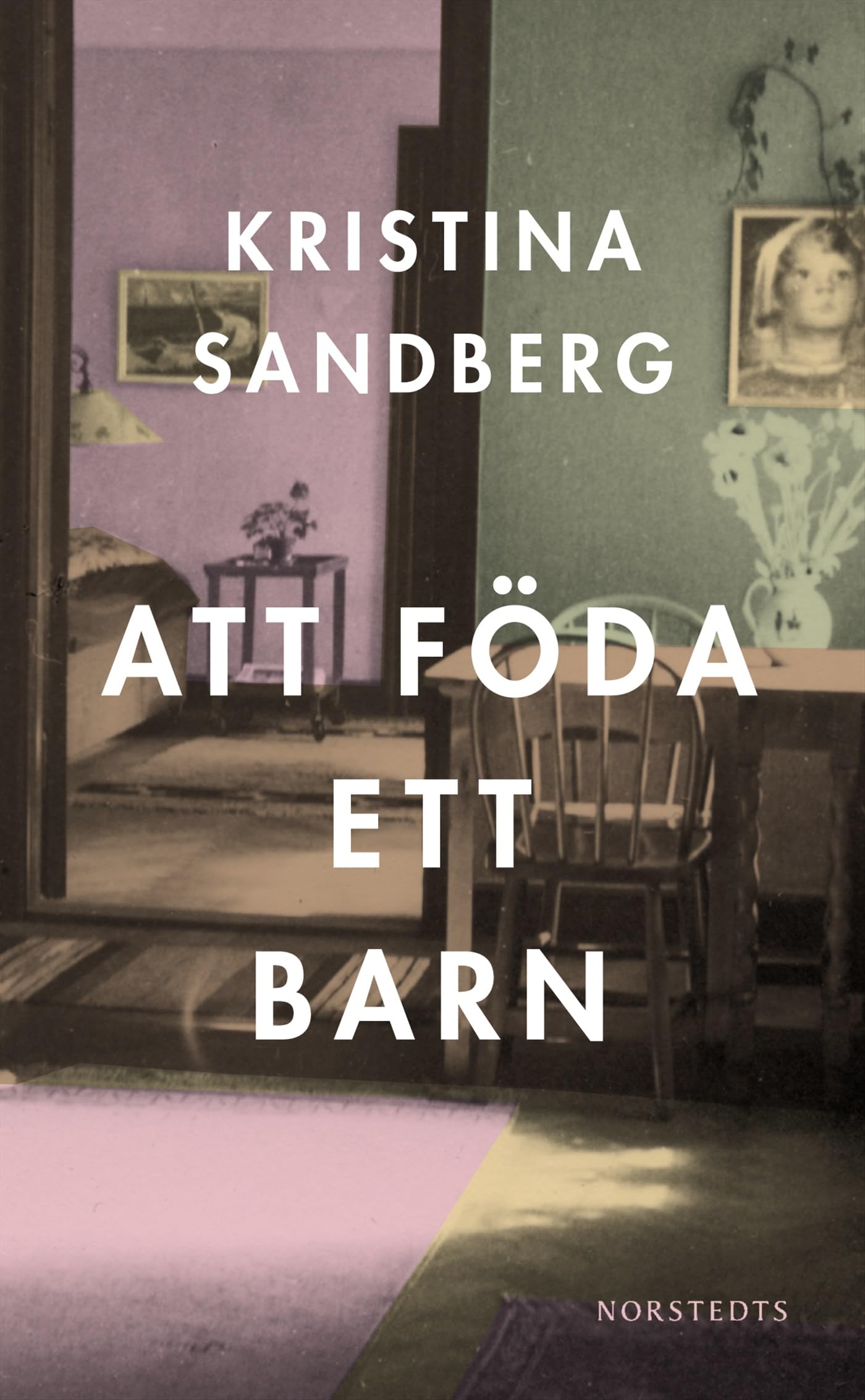 Att föda ett barn (Romanen om Maj, Band 1) Contemporary literature