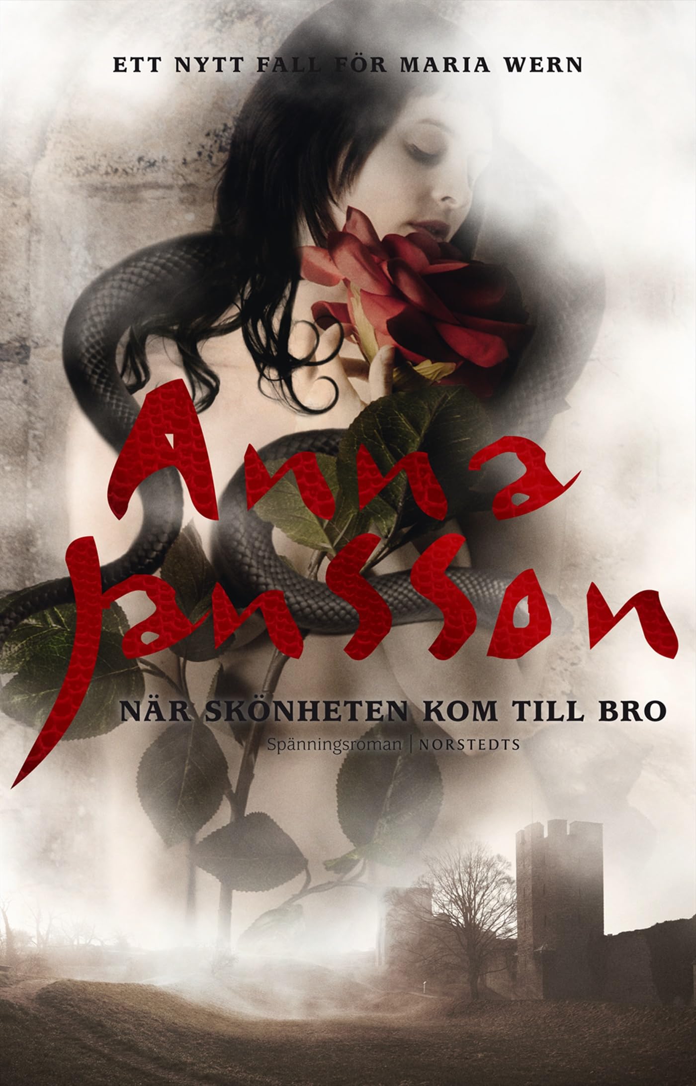 När skönheten kom till Bro (Maria Wern, Band 13) Contemporary literature