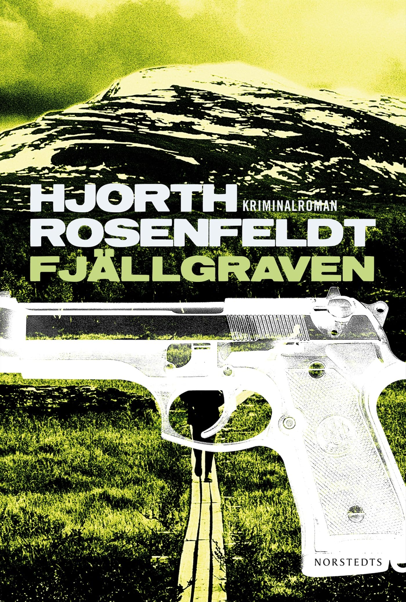 Fjällgraven (Sebastian Bergman, Band 3) Contemporary literature