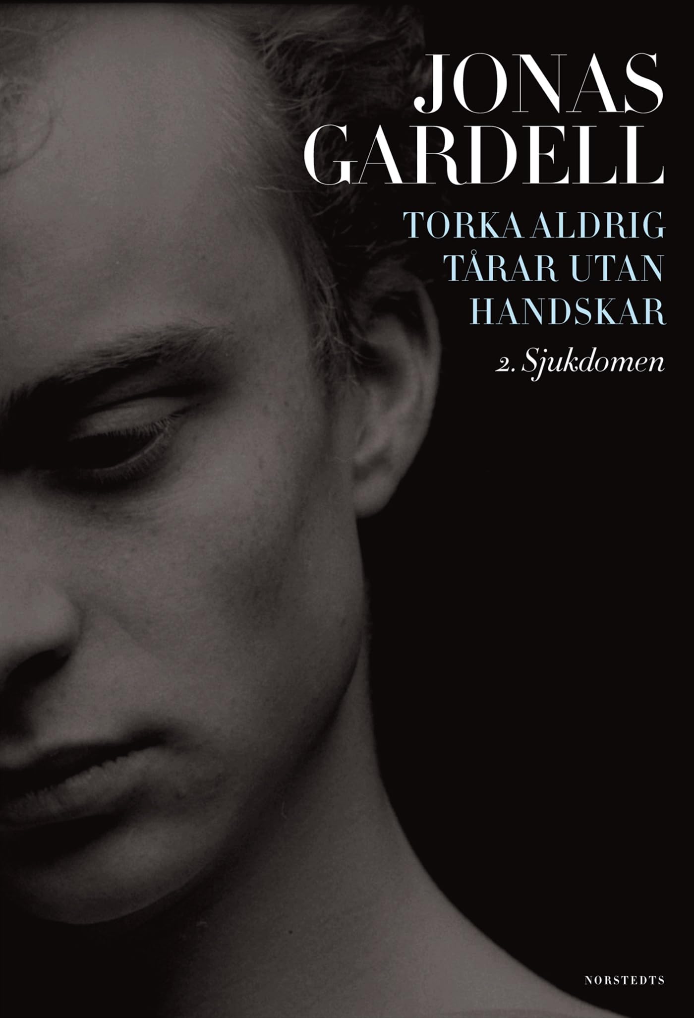 Torka aldrig tårar utan handskar. 2, Sjukdomen Contemporary literature