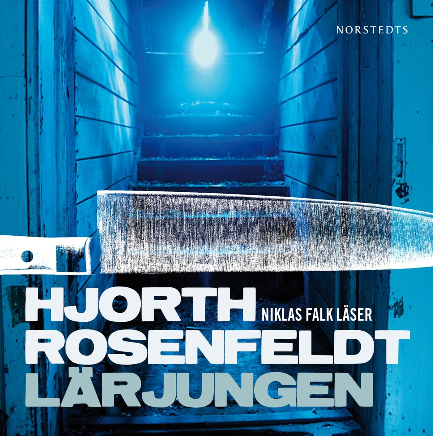 Lärjungen (Sebastian Bergman, Band 2) Contemporary literature