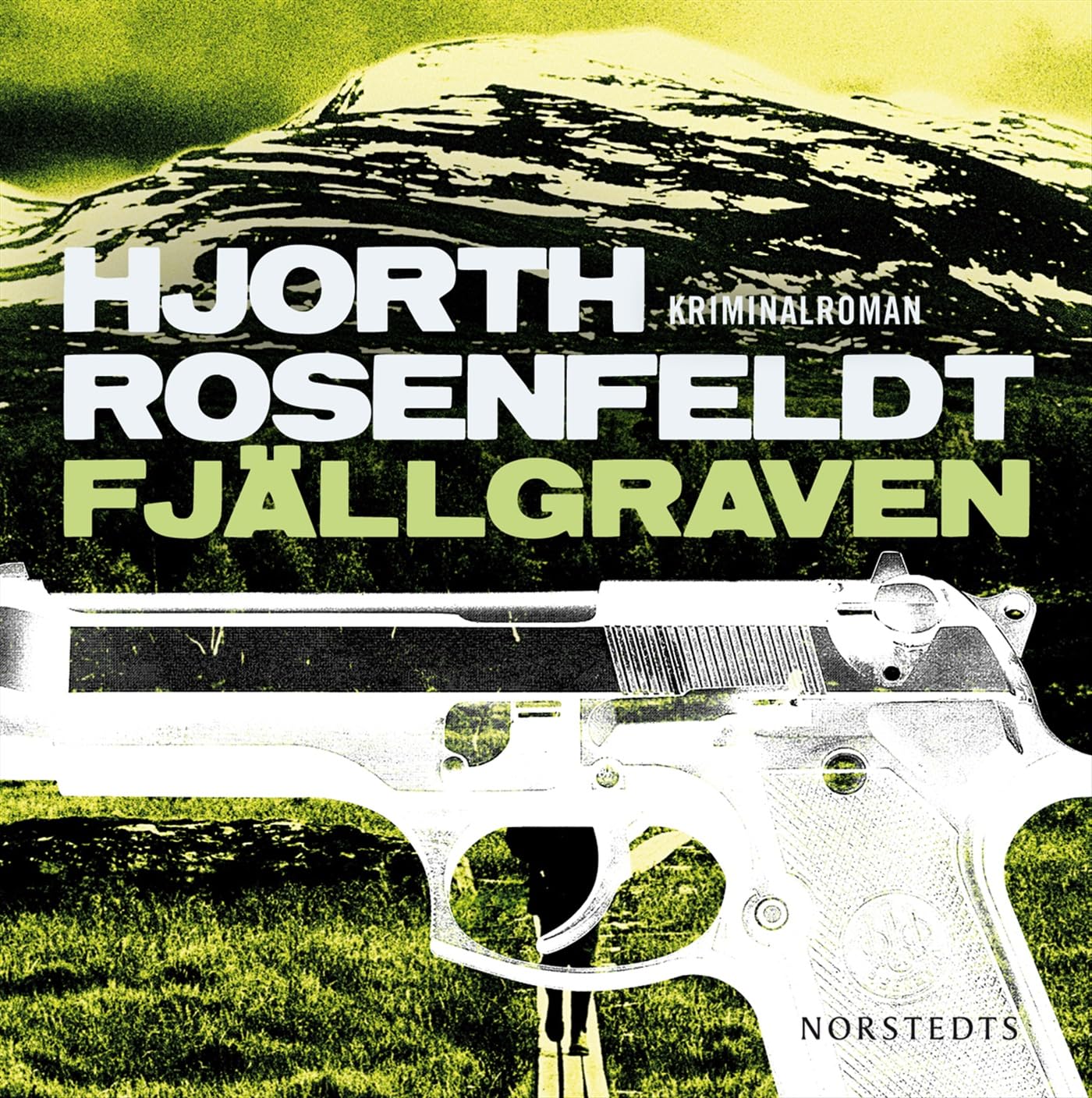 Fjällgraven (Sebastian Bergman, Band 3) Contemporary literature