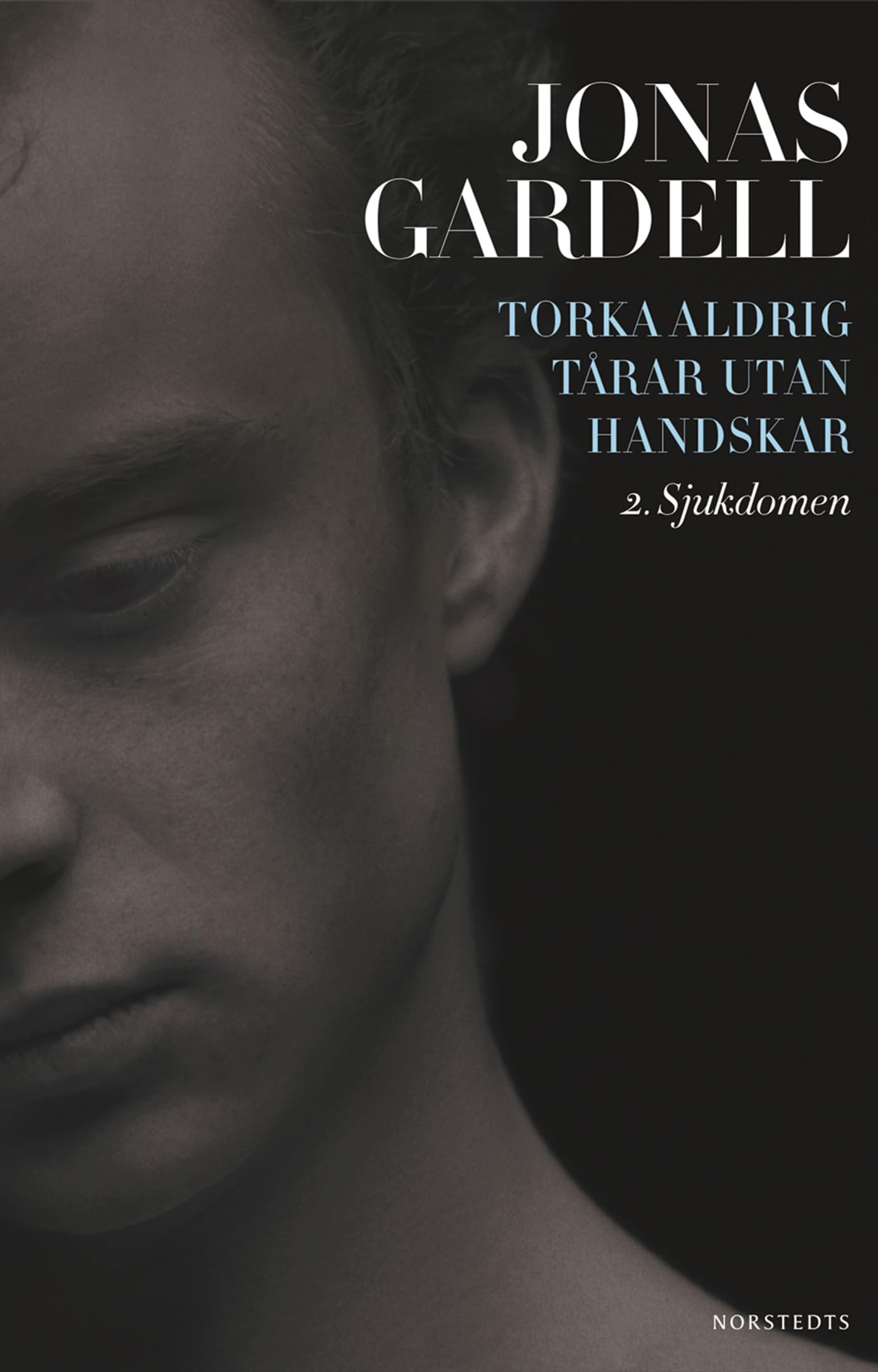 Torka aldrig tårar utan handskar. 2, Sjukdomen Contemporary literature