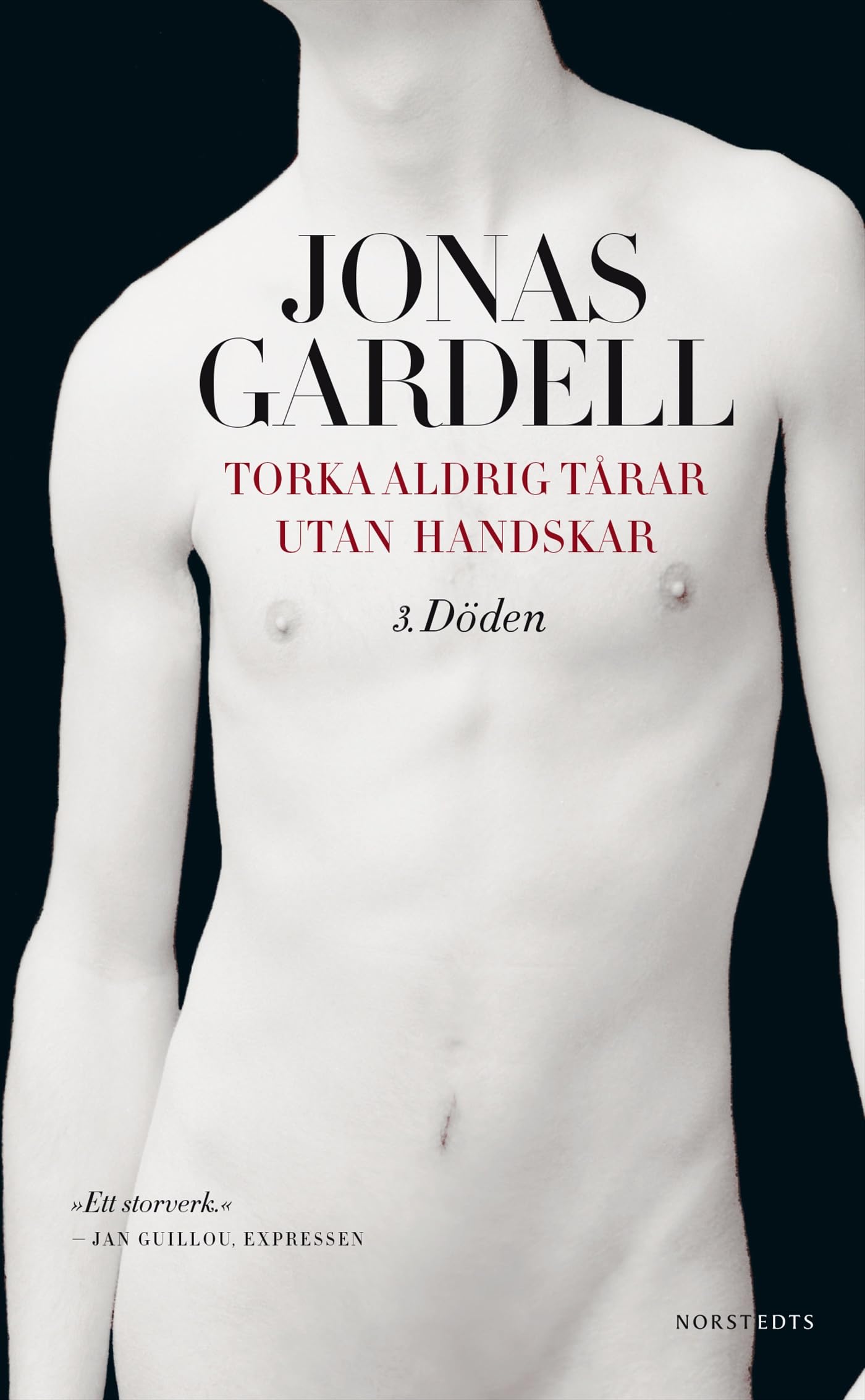 Torka aldrig tårar utan handskar: 3. Döden Contemporary literature