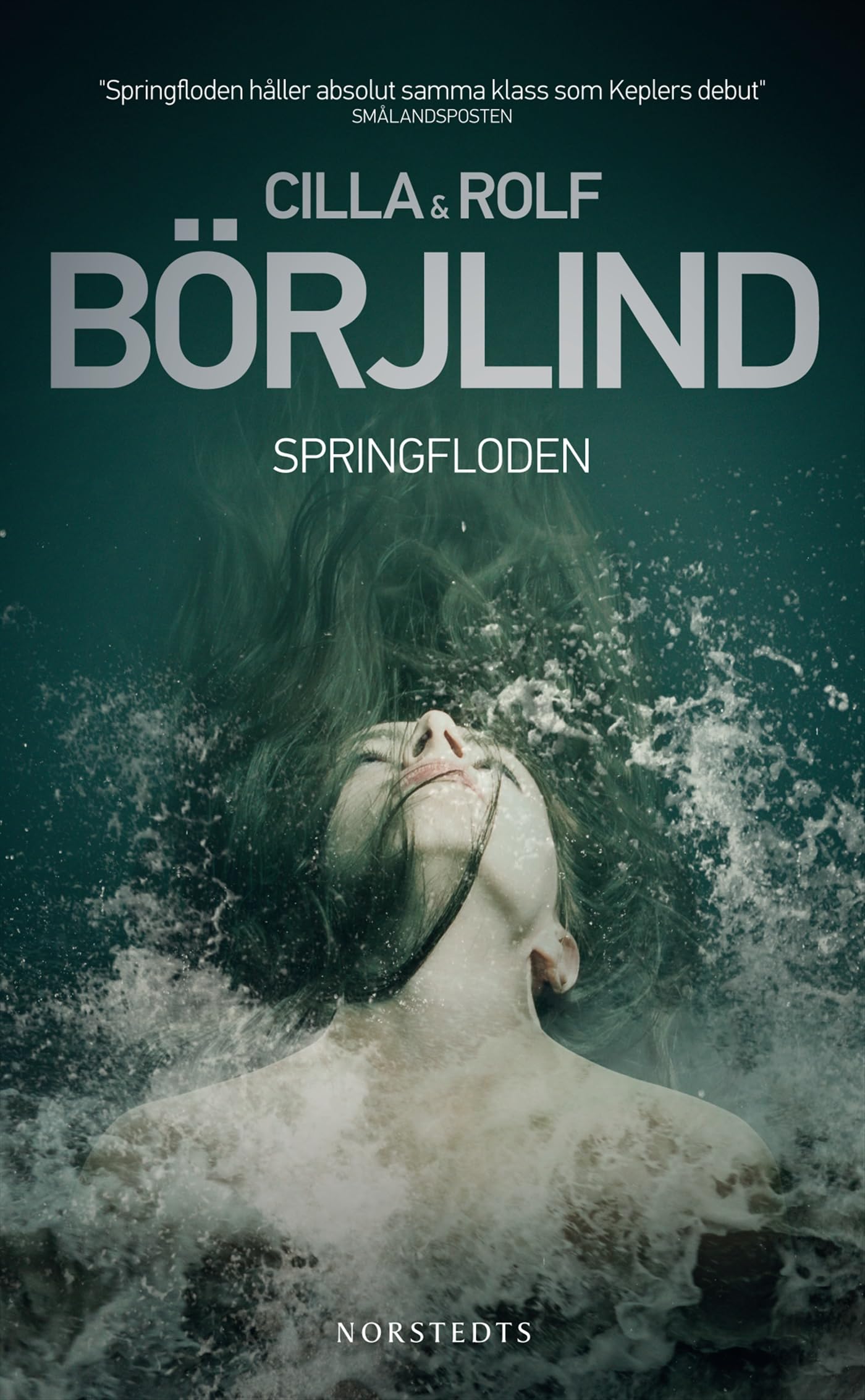 Springfloden (Rönning/Stilton, Band 1) Contemporary literature