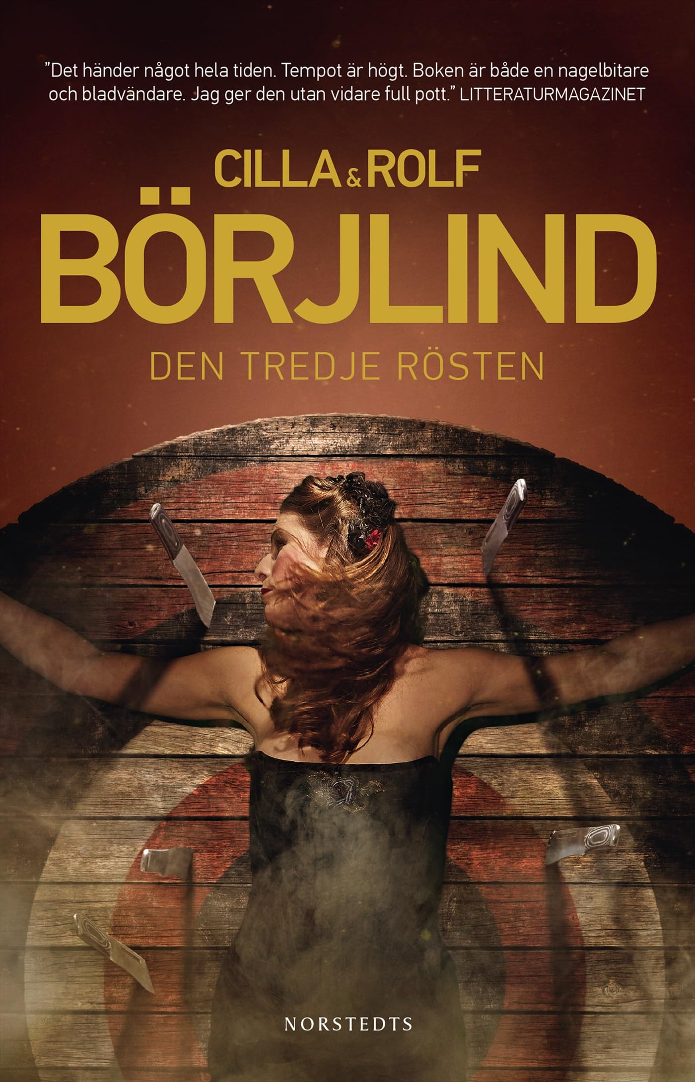 Den tredje rösten (Rönning/Stilton, Band 2) Contemporary literature