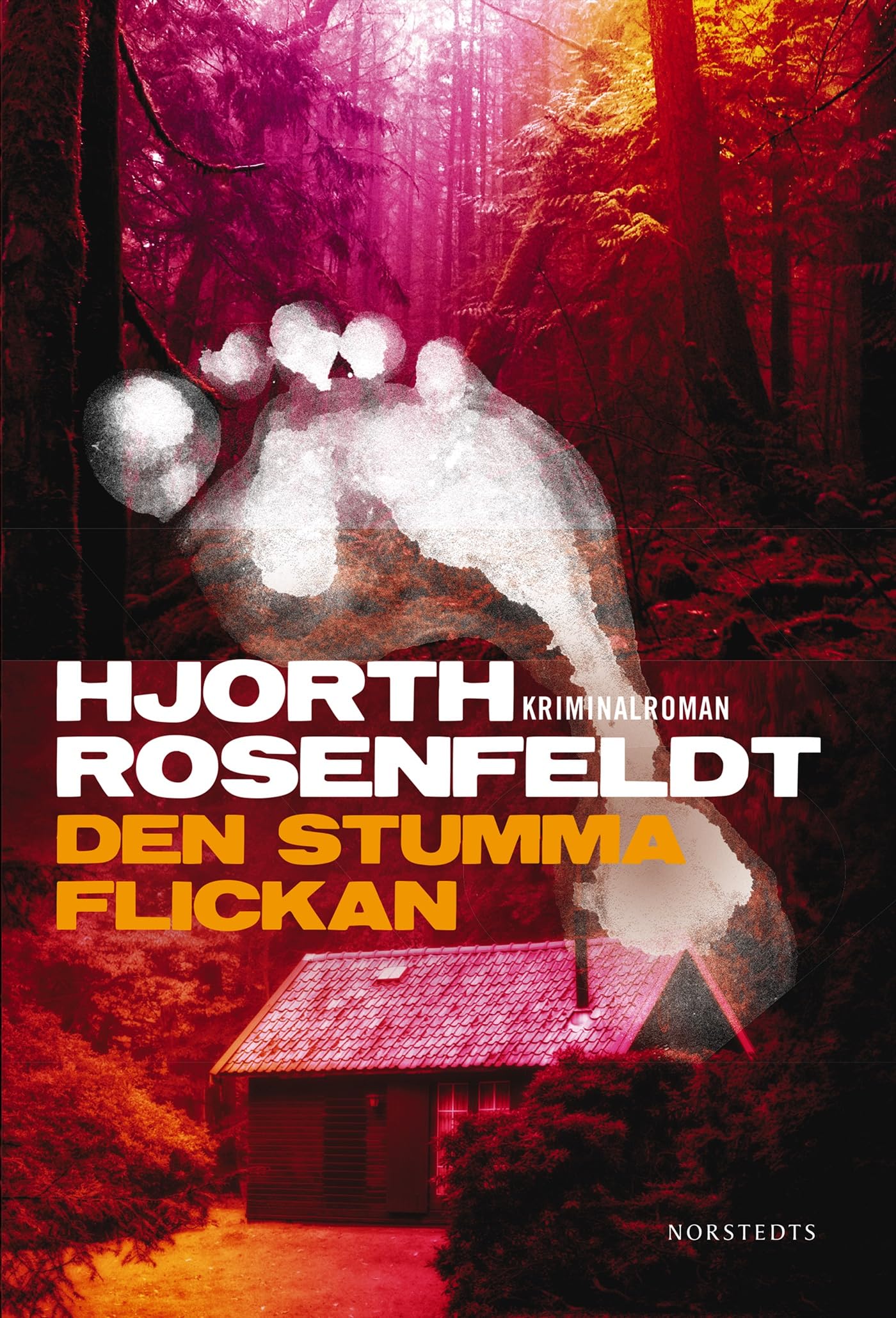 Den stumma flickan (Sebastian Bergman, Band 4) Contemporary literature