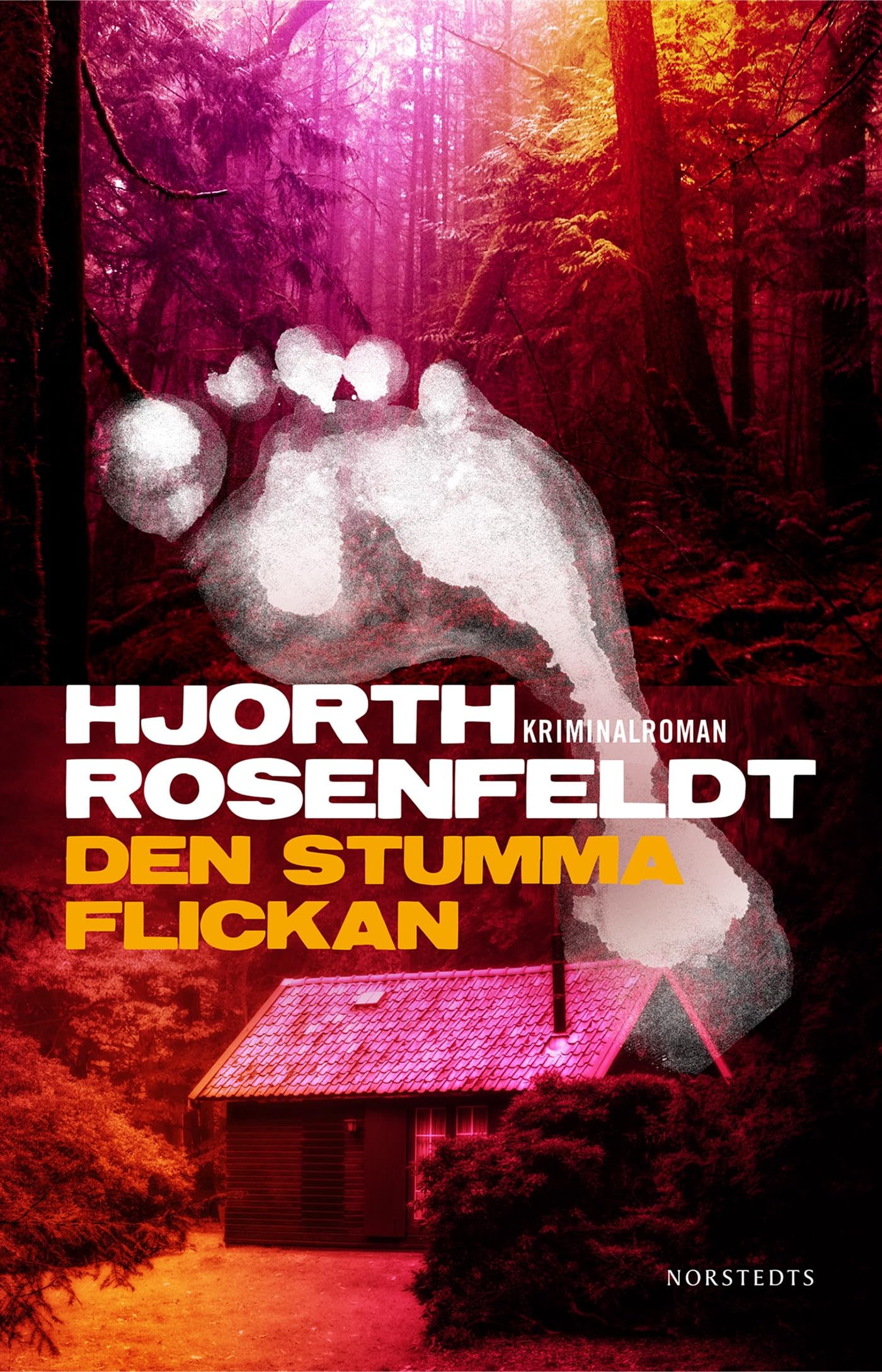 Den stumma flickan (Sebastian Bergman, Band 4) Contemporary literature