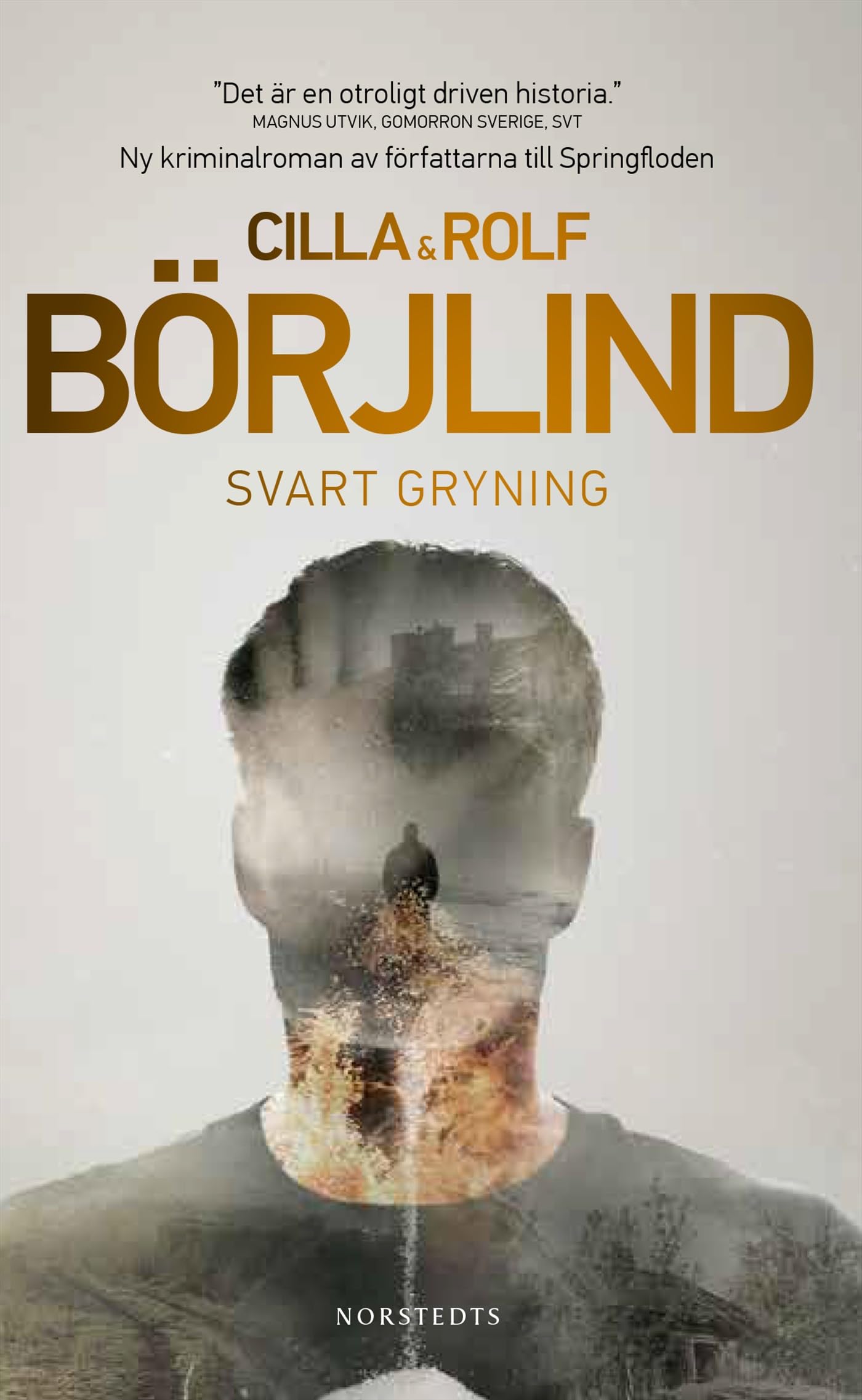 Svart gryning (Rönning/Stilton, Band 3) Contemporary literature