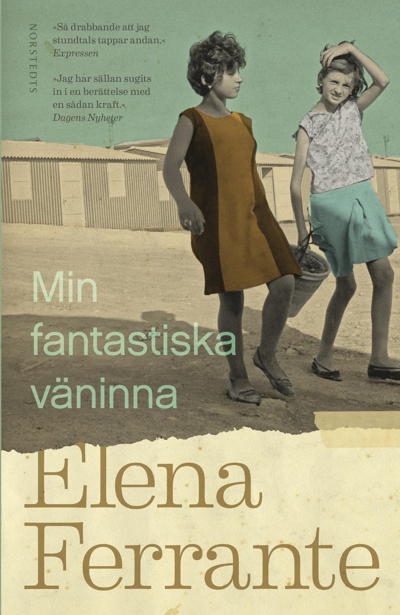 Min fantastiska väninna Contemporary literature