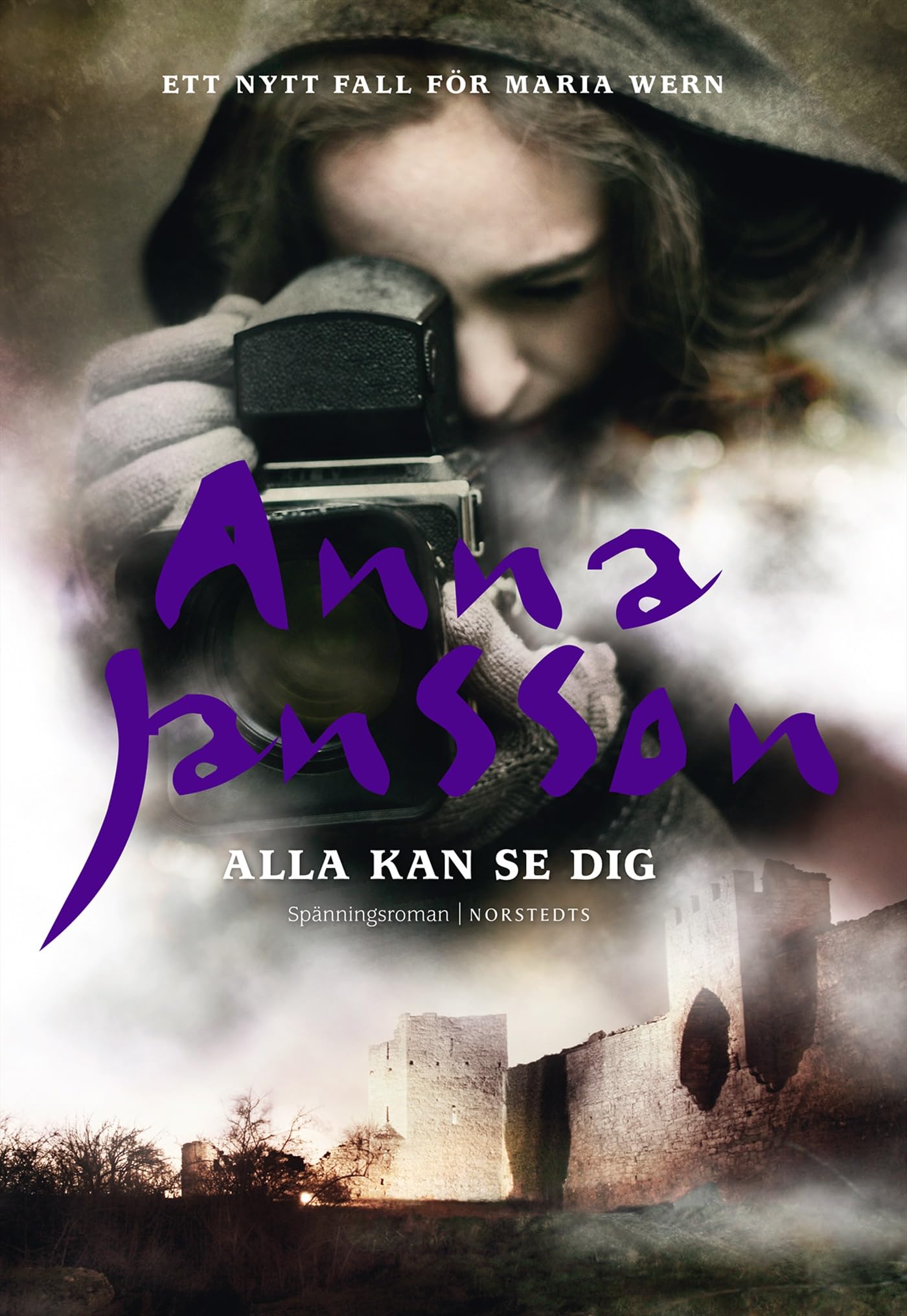 Alla kan se dig (Maria Wern, Band 16) Contemporary literature