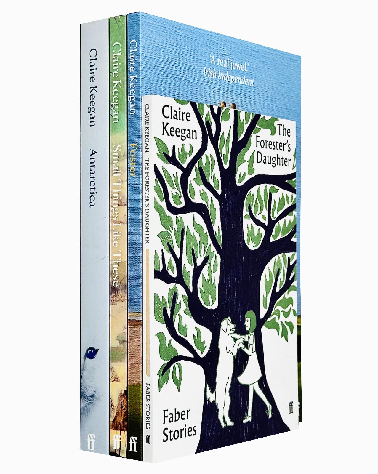 Claire Keegan Collection 4 Books Set (Antarctica, The Forester's Daughter, Foster, Small Things Like These) Historical Fiction