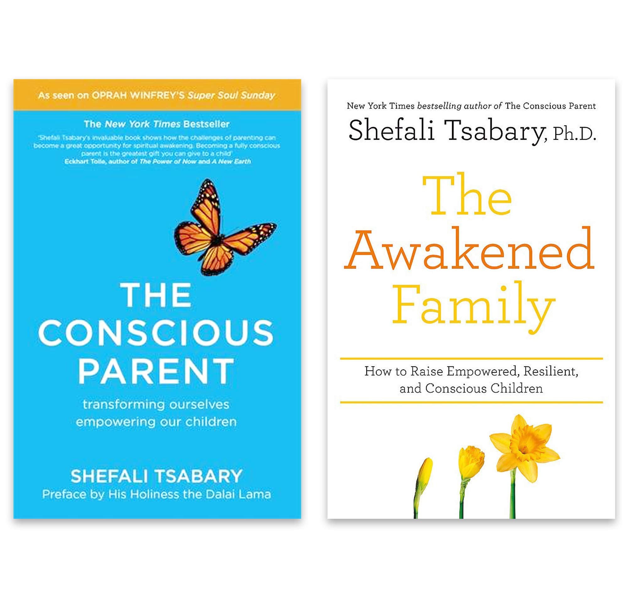 Shefali Tsabary 2 Books Collection Set (The Conscious Parent: Transforming Ourselves, Empowering Our Children & The Awakened Family: How to Raise Empowered, Resilient, and Conscious Children) Parents & Children