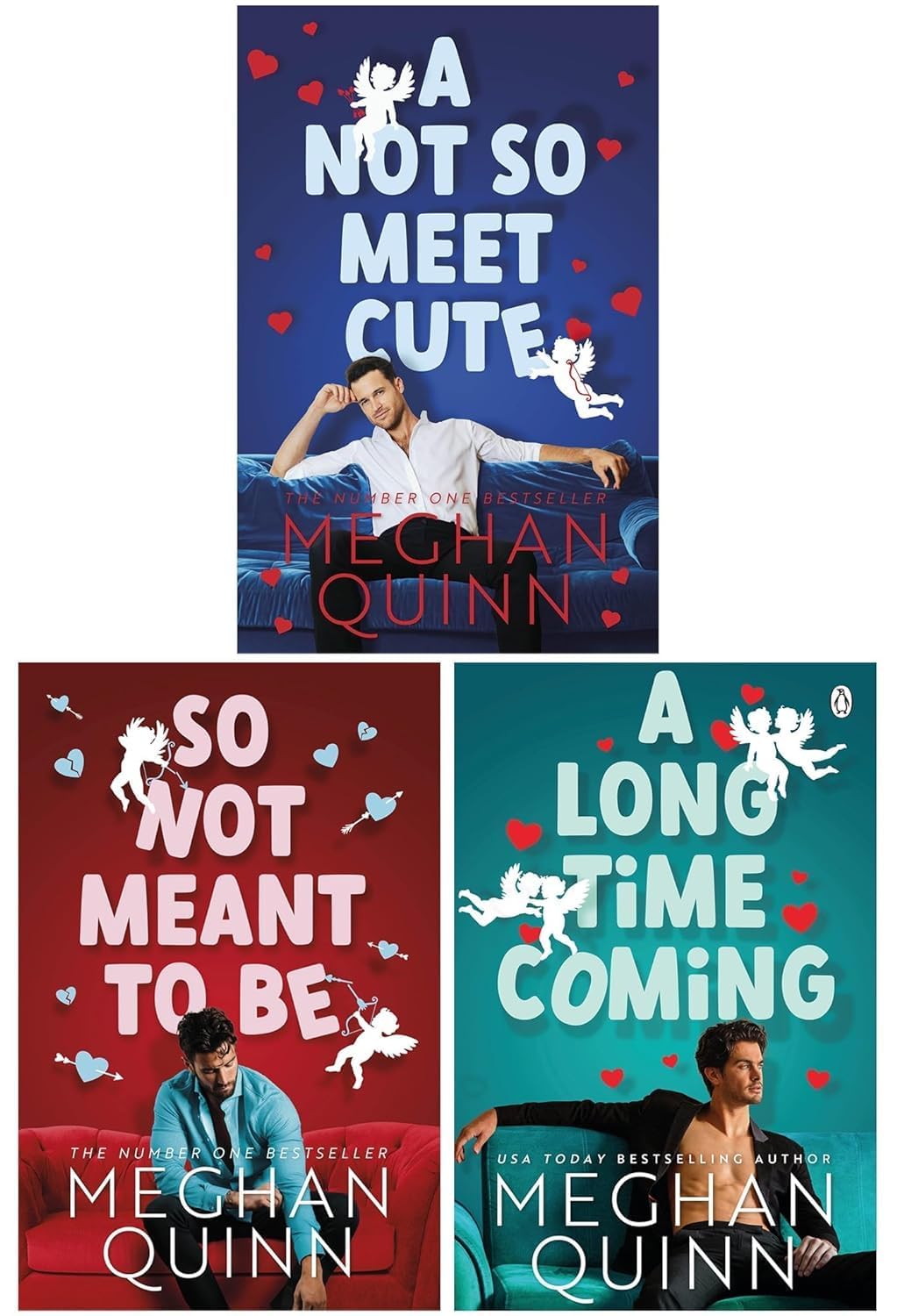Cane Brothers Series 3 Books Collection Set By Meghan Quinn (A Long Time Coming, So Not Meant to Be, A Not So Meet Cute) book
