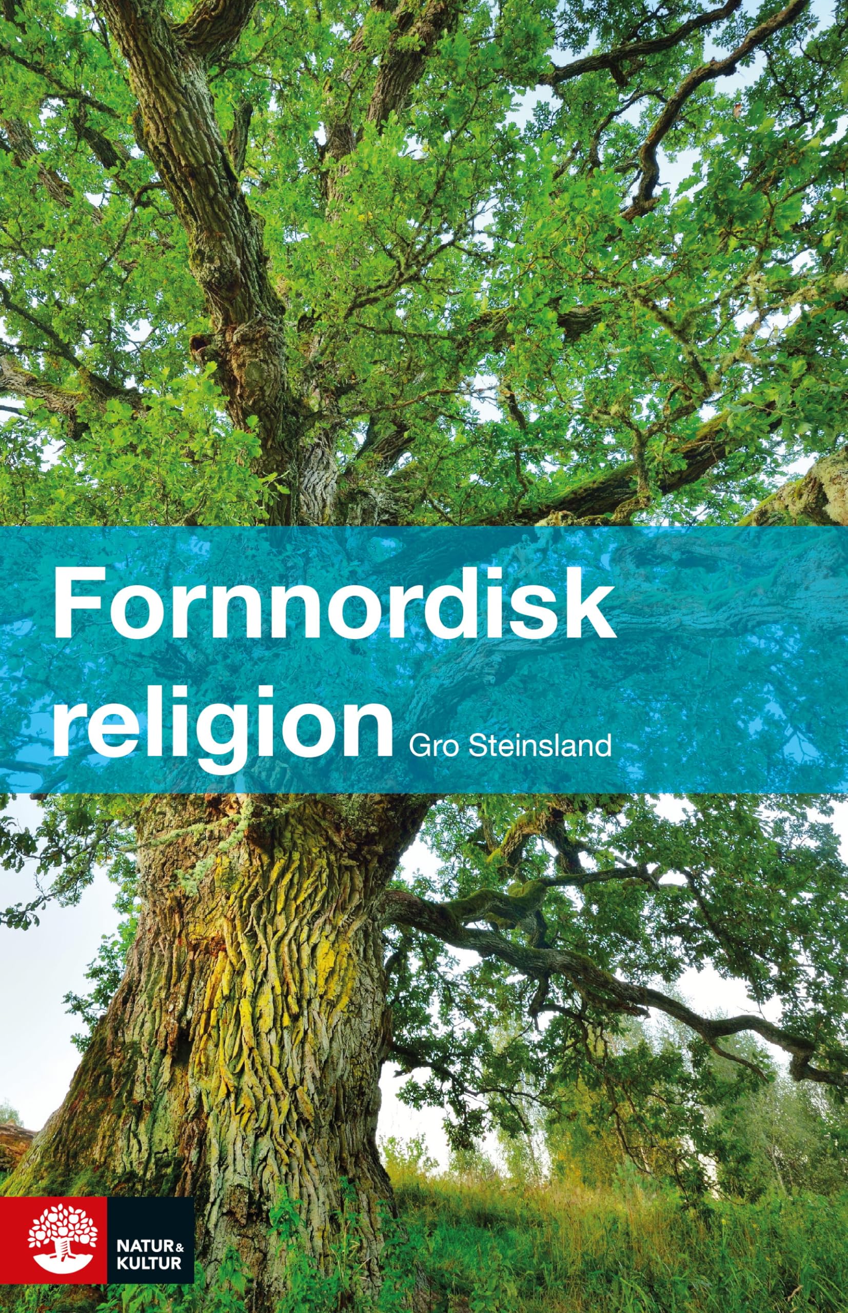 Fornnordisk religion book