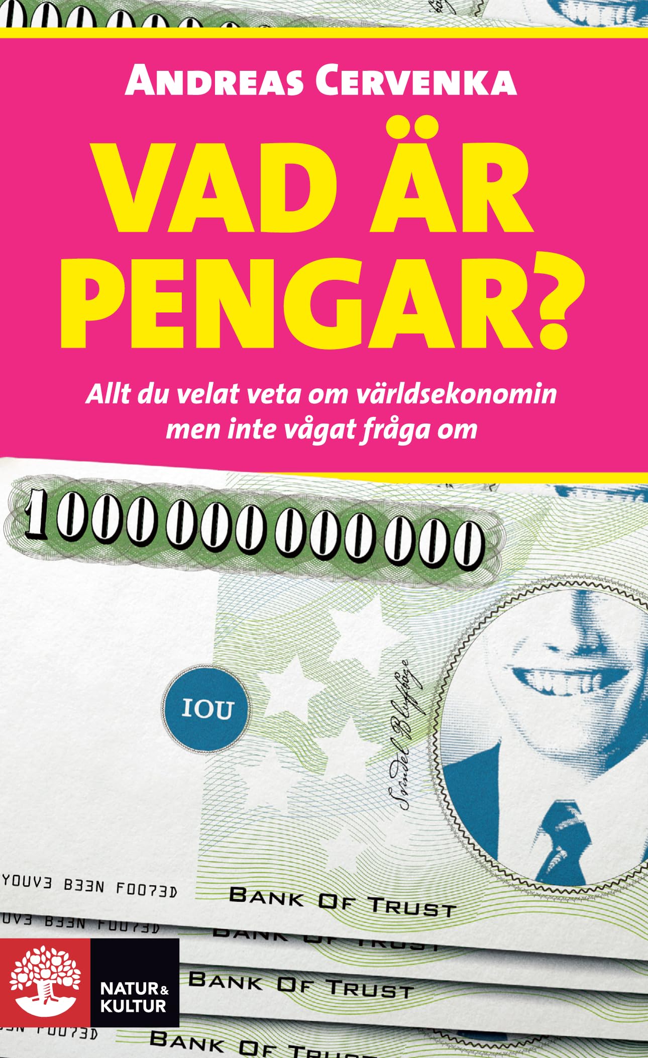 Vad är pengar? : allt du velat veta om världsekonomin men inte vågat fråga om Books
