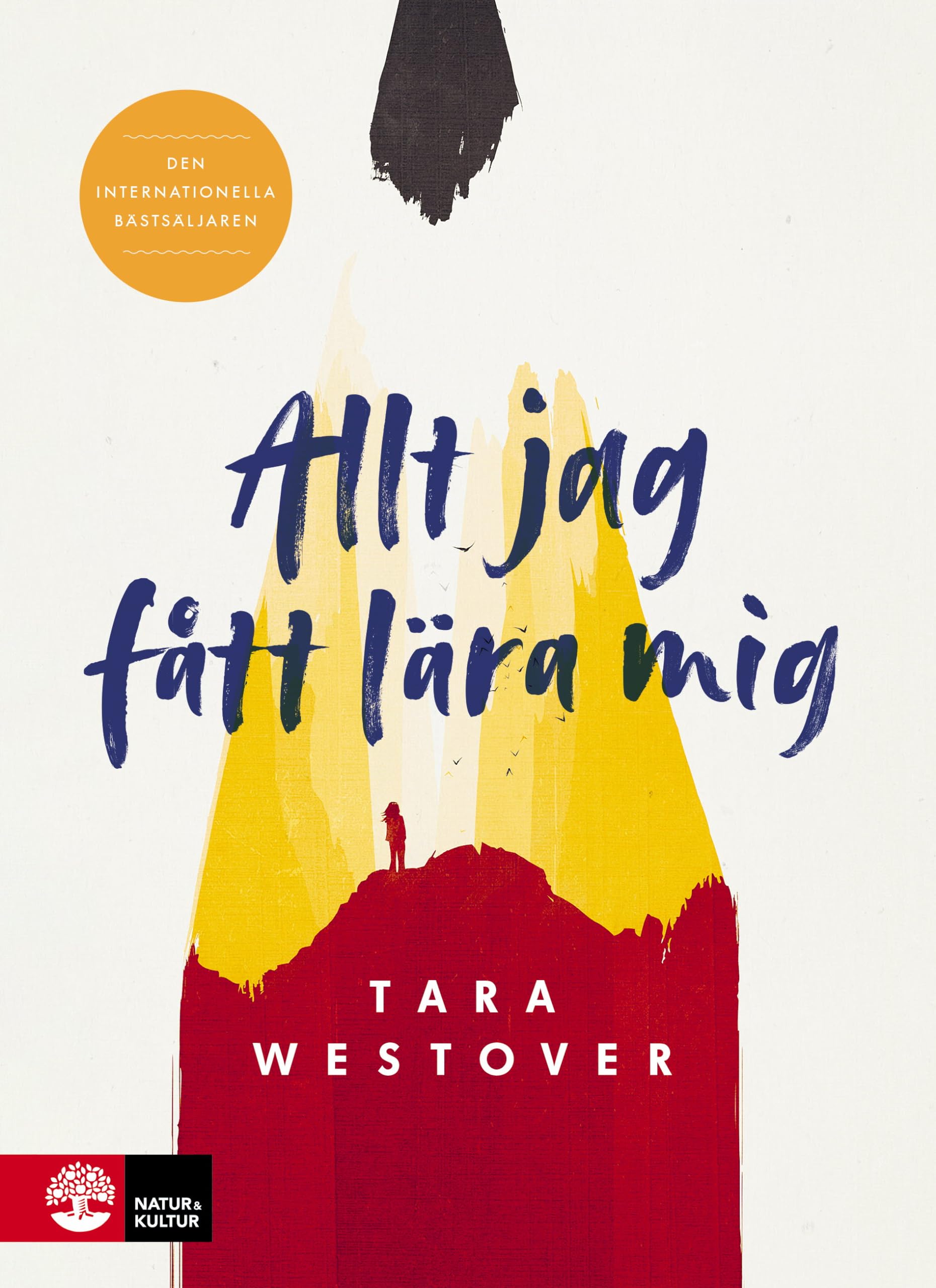 Allt jag fått lära mig Books