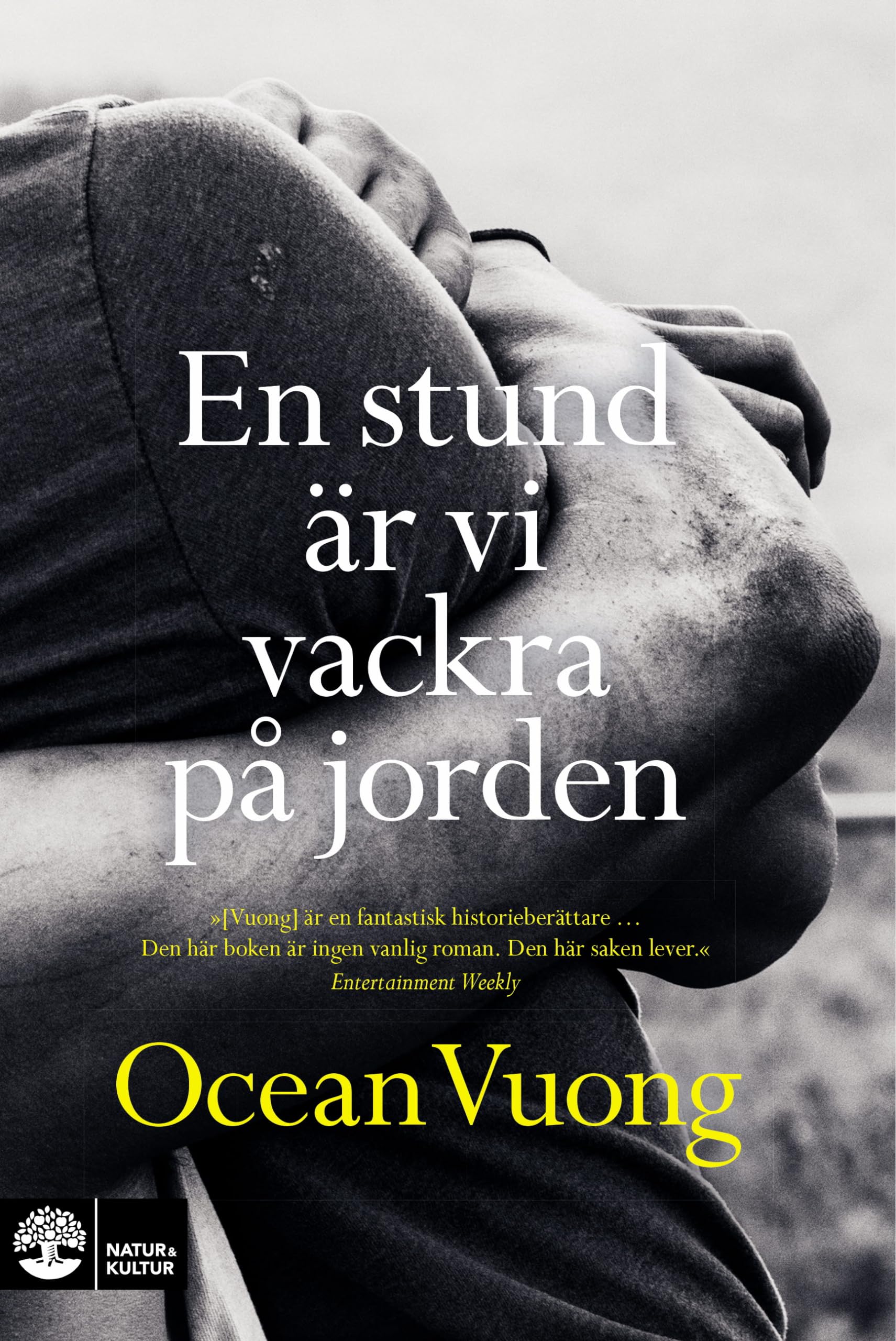 En stund är vi vackra på jorden Books