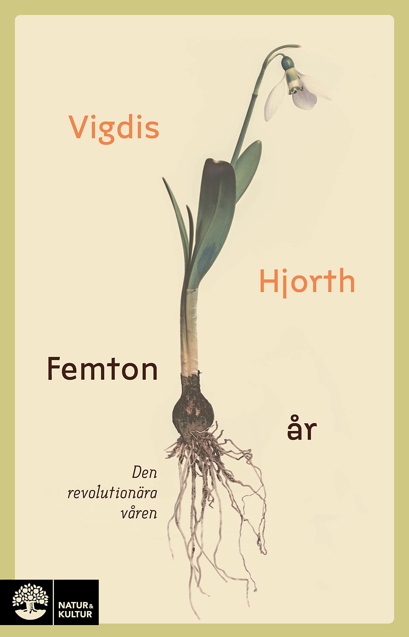 Femton år : den revolutionära våren book