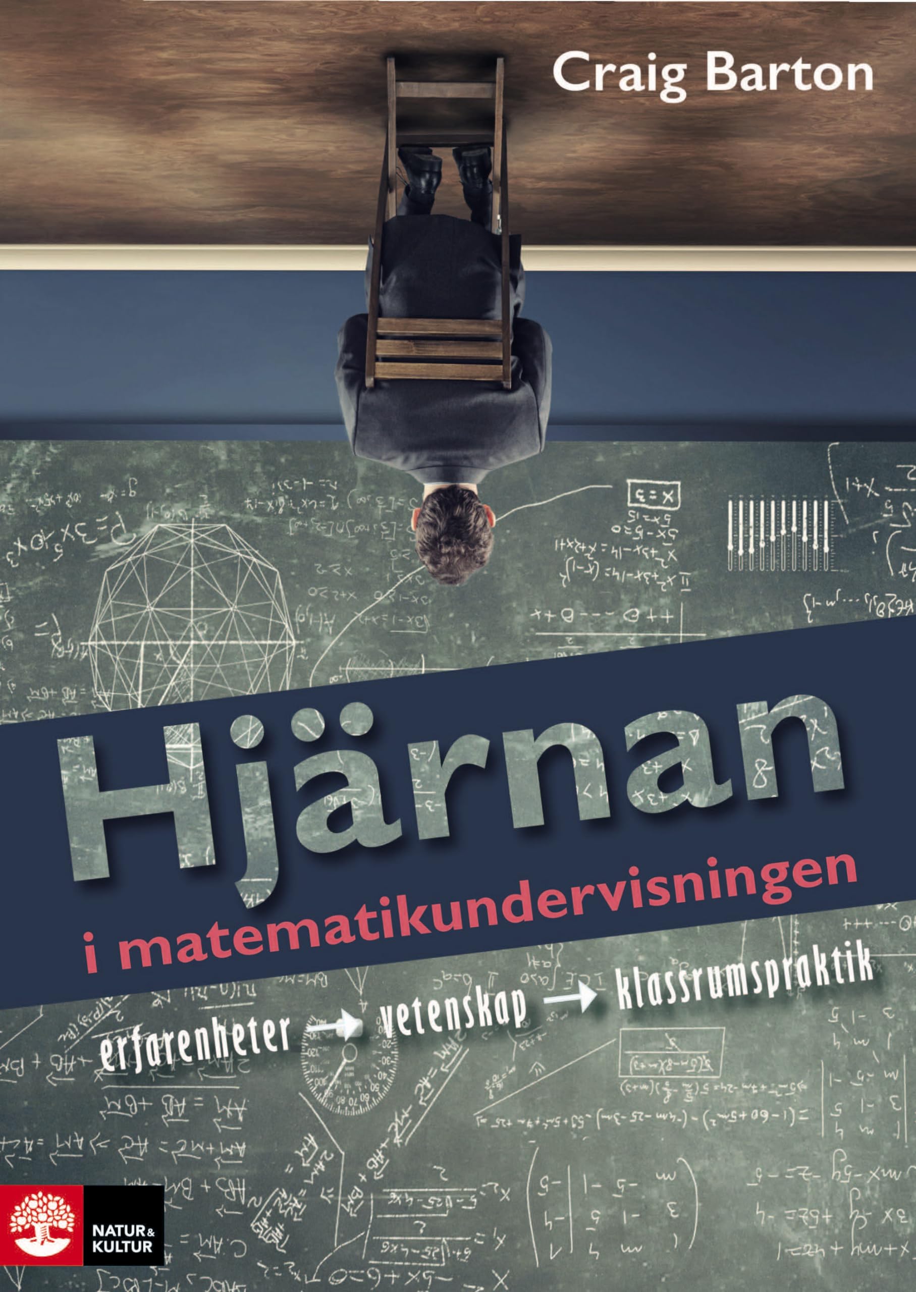 Hjärnan i matematikundervisningen : Erfarenhet, vetenskap, klassrumspraktik Books