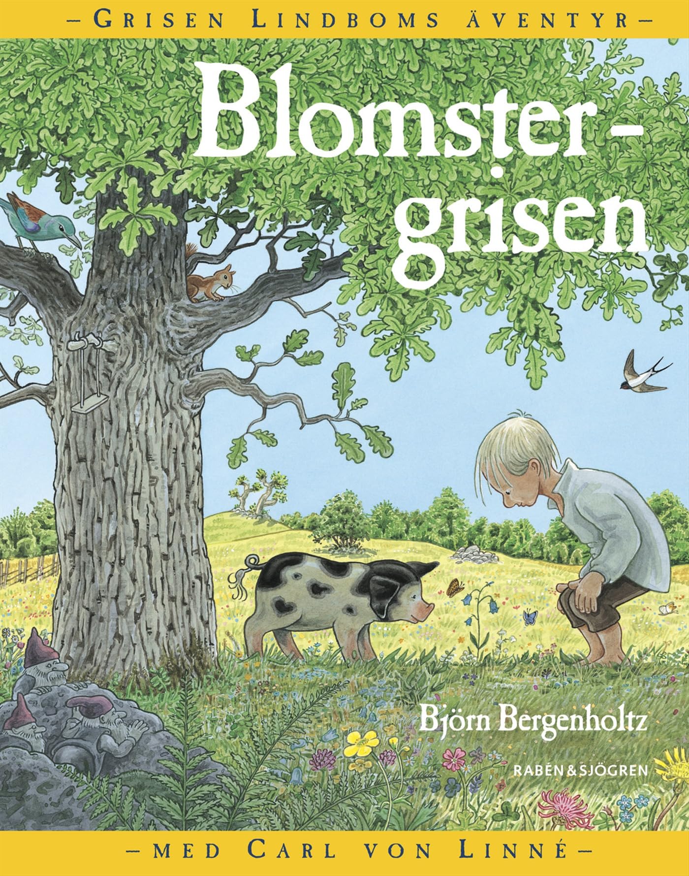 Blomstergrisen : grisen Lindboms äventyr med Carl von Linné Children's books