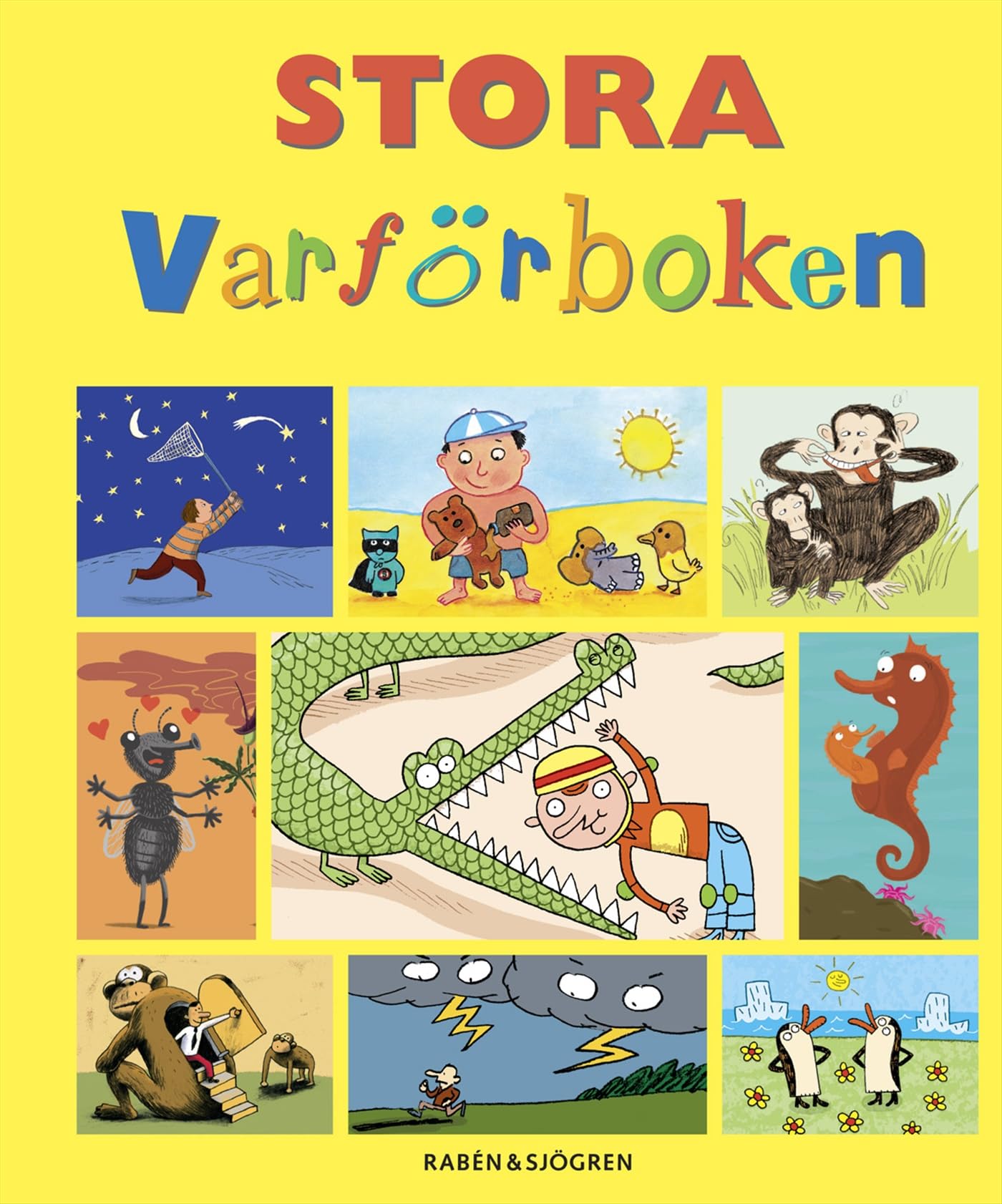 Stora varförboken Non-fiction