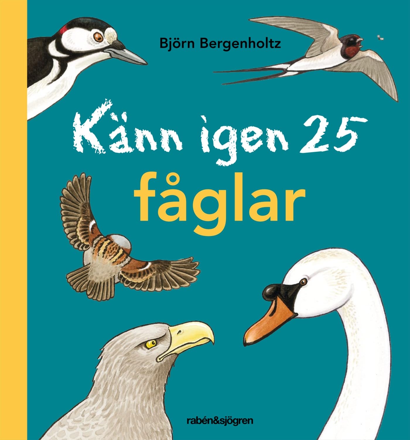 Känn igen 25 fåglar Non-fiction