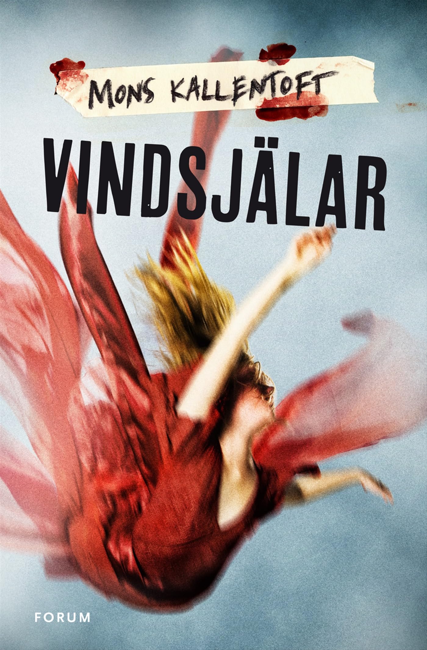 Vindsjälar (Malin Fors, Band 7) Contemporary literature