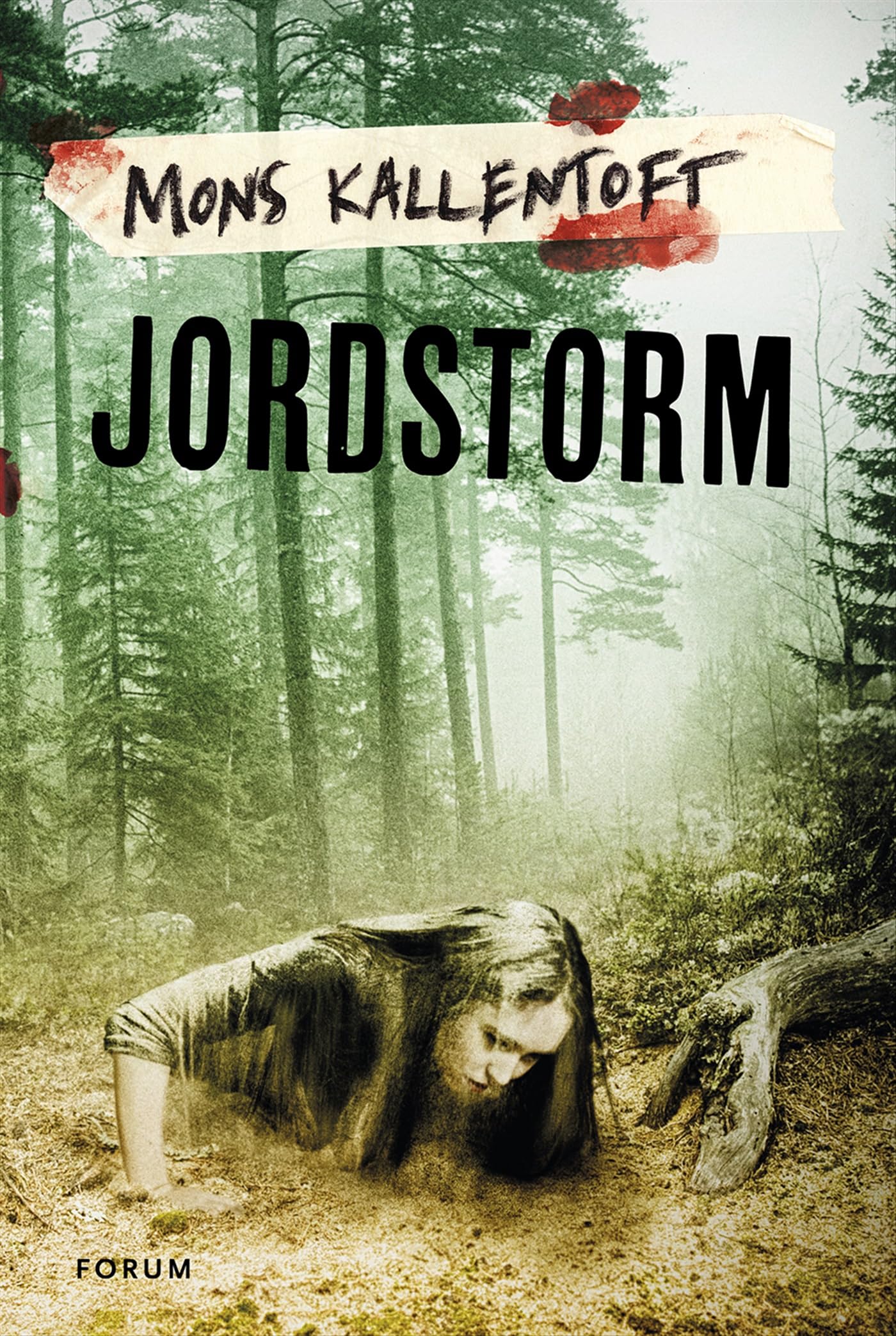 Jordstorm (Malin Fors, Band 8) Contemporary literature