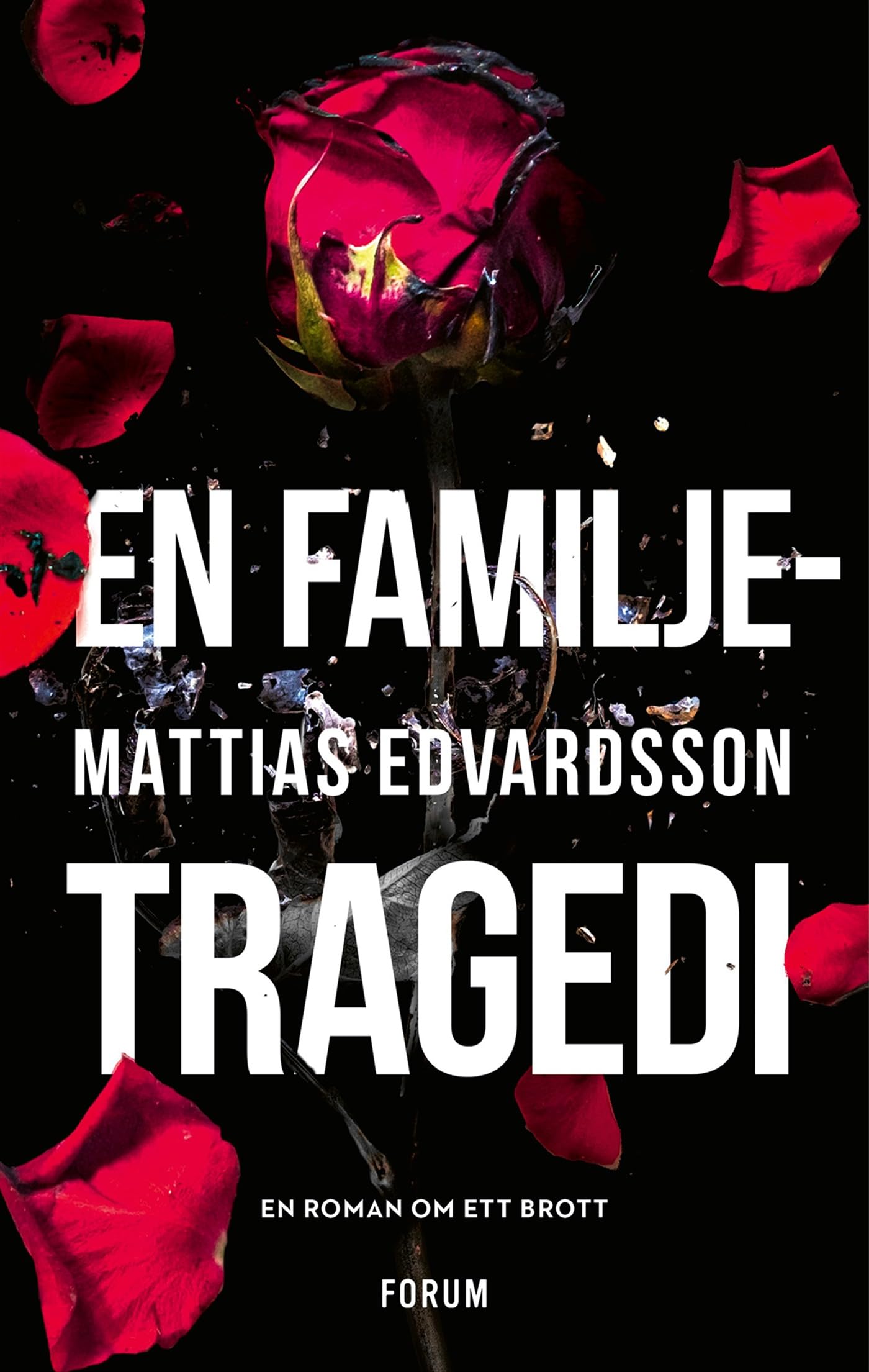 En familjetragedi book