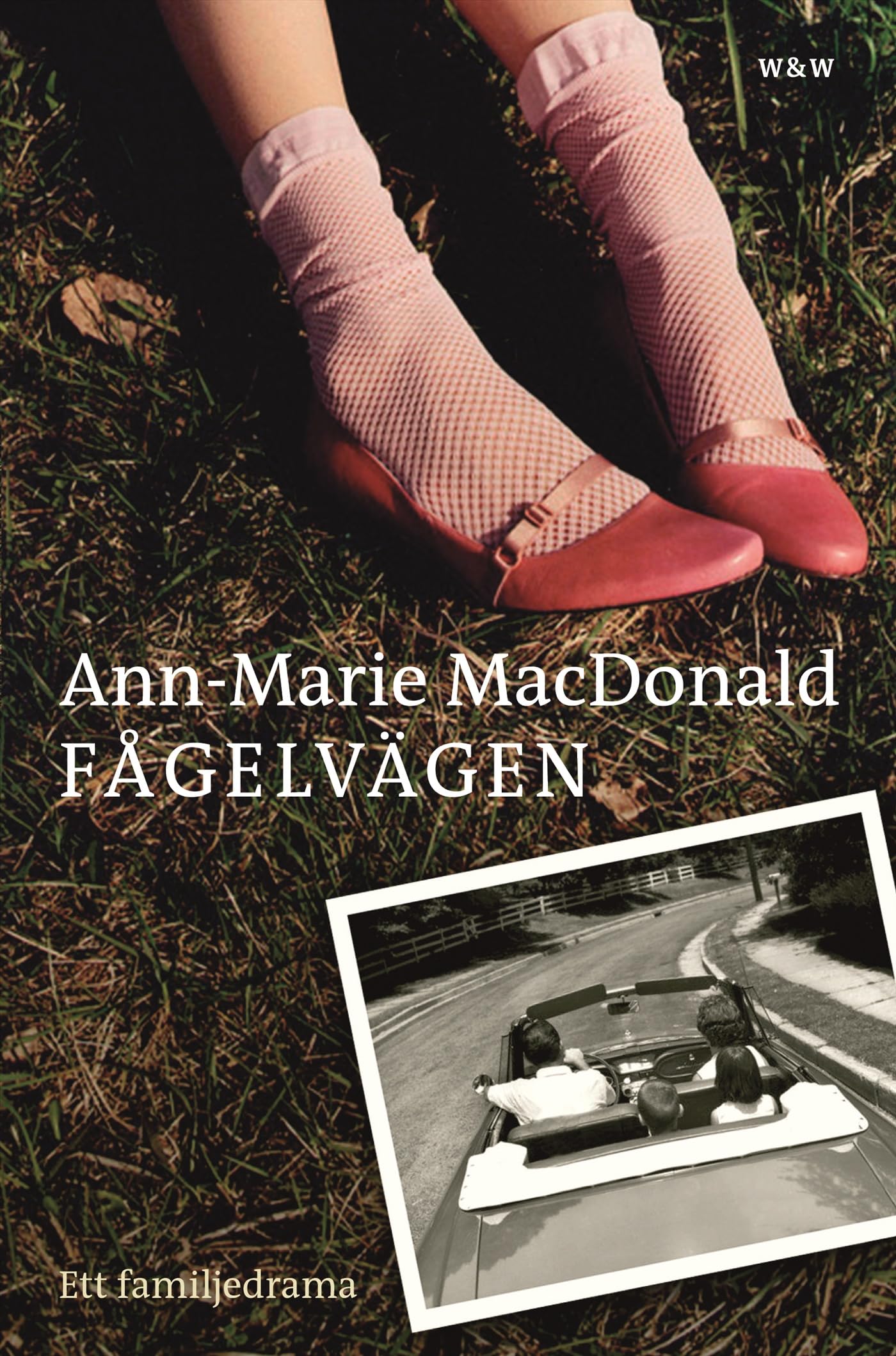 Fågelvägen : ett familjedrama Books