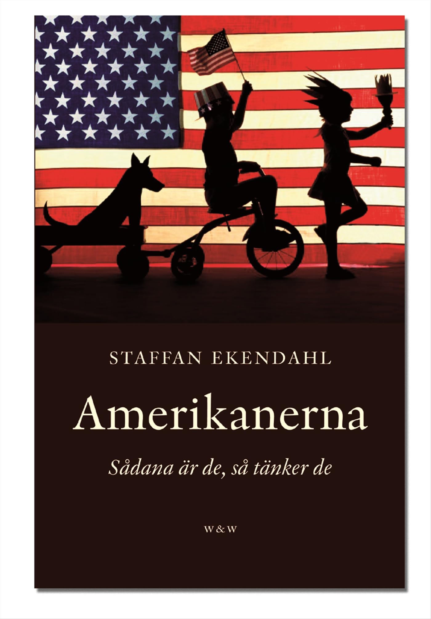 Amerikanerna : Sådana är de, så tänker de Books