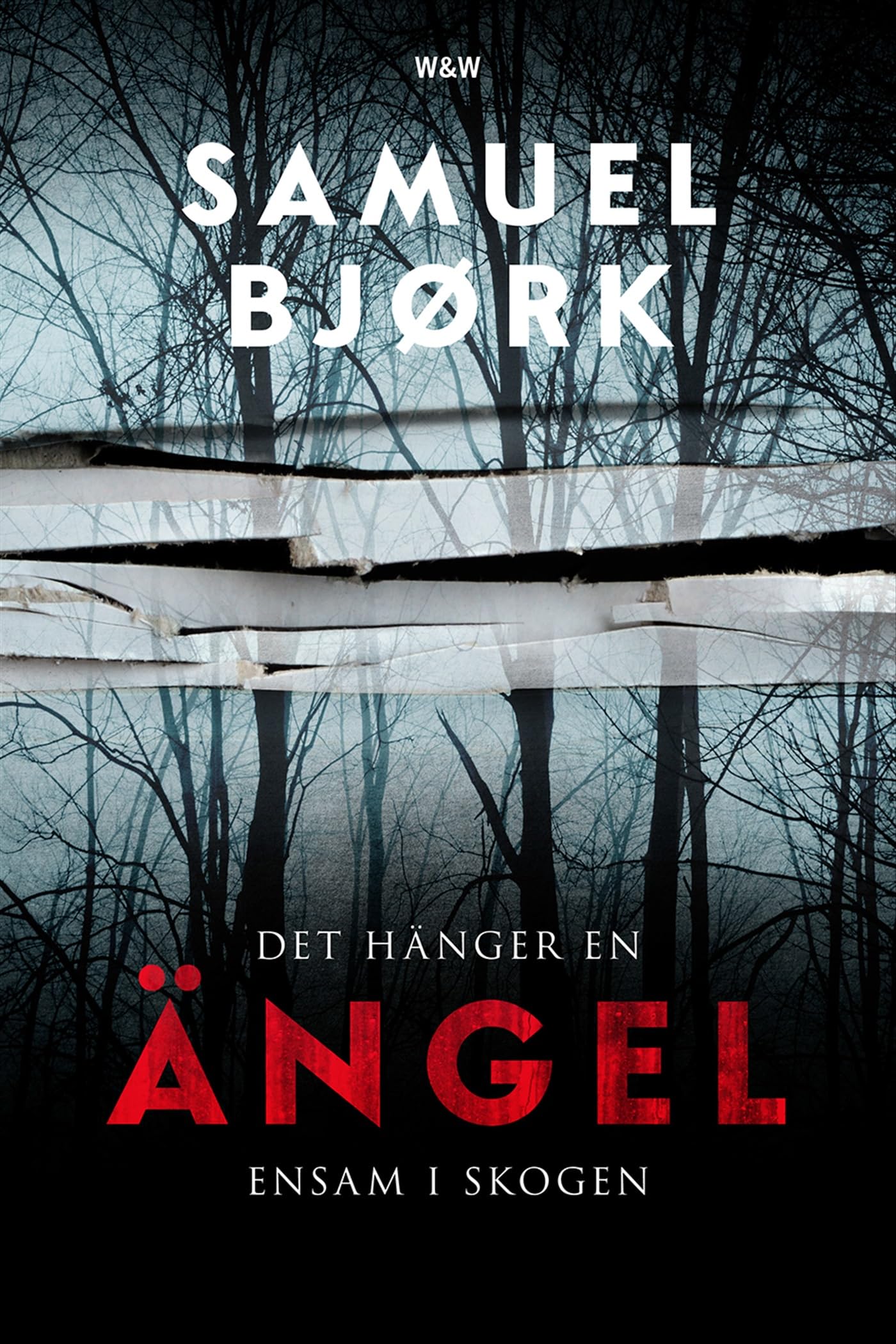 Det hänger en ängel ensam i skogen (Mia Krüger och Holger Munch, Band 1) Contemporary literature