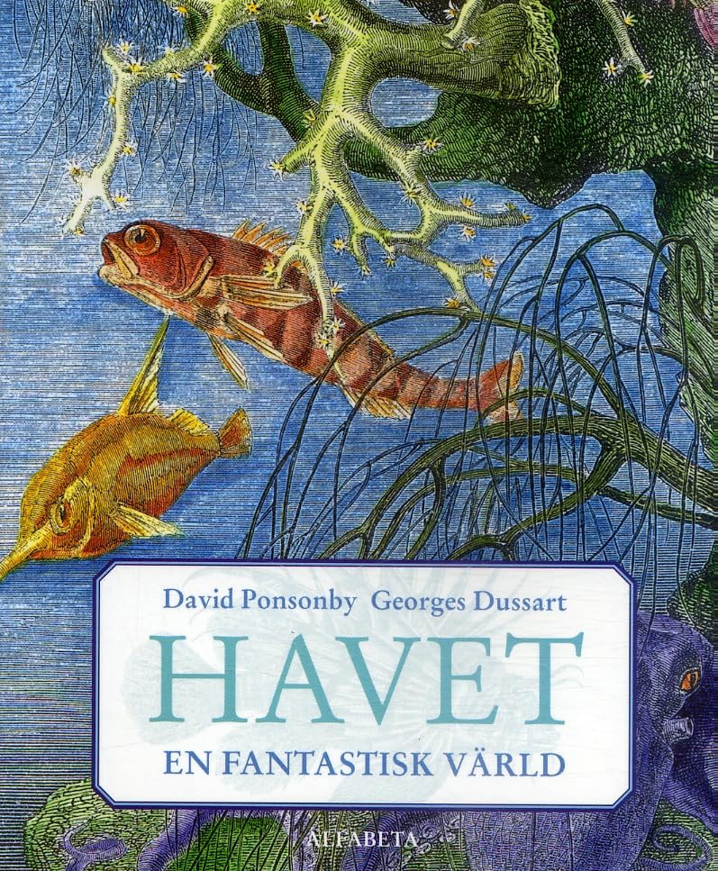 Havet : en fantastisk värld Books