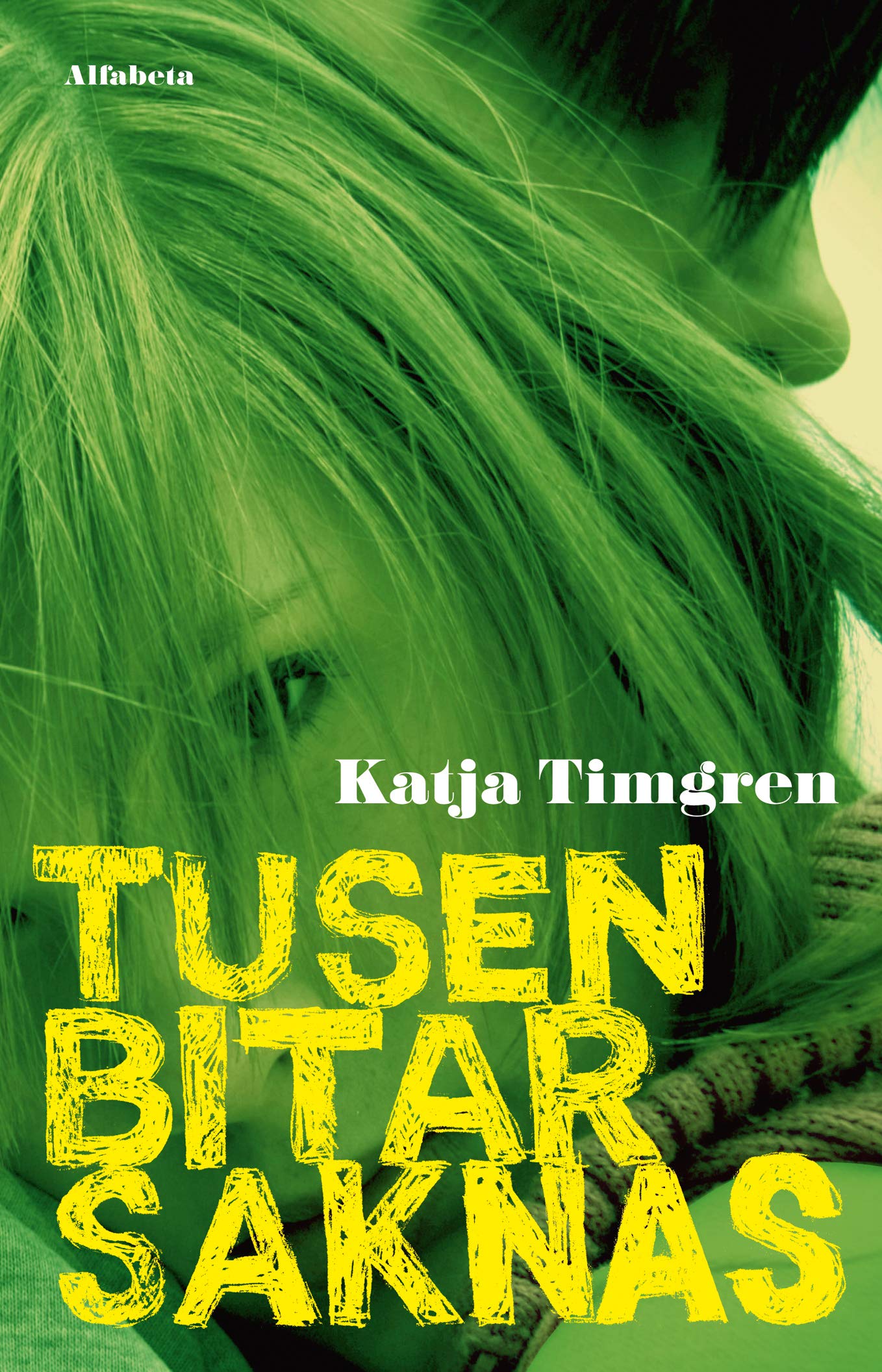 Tusen bitar saknas book