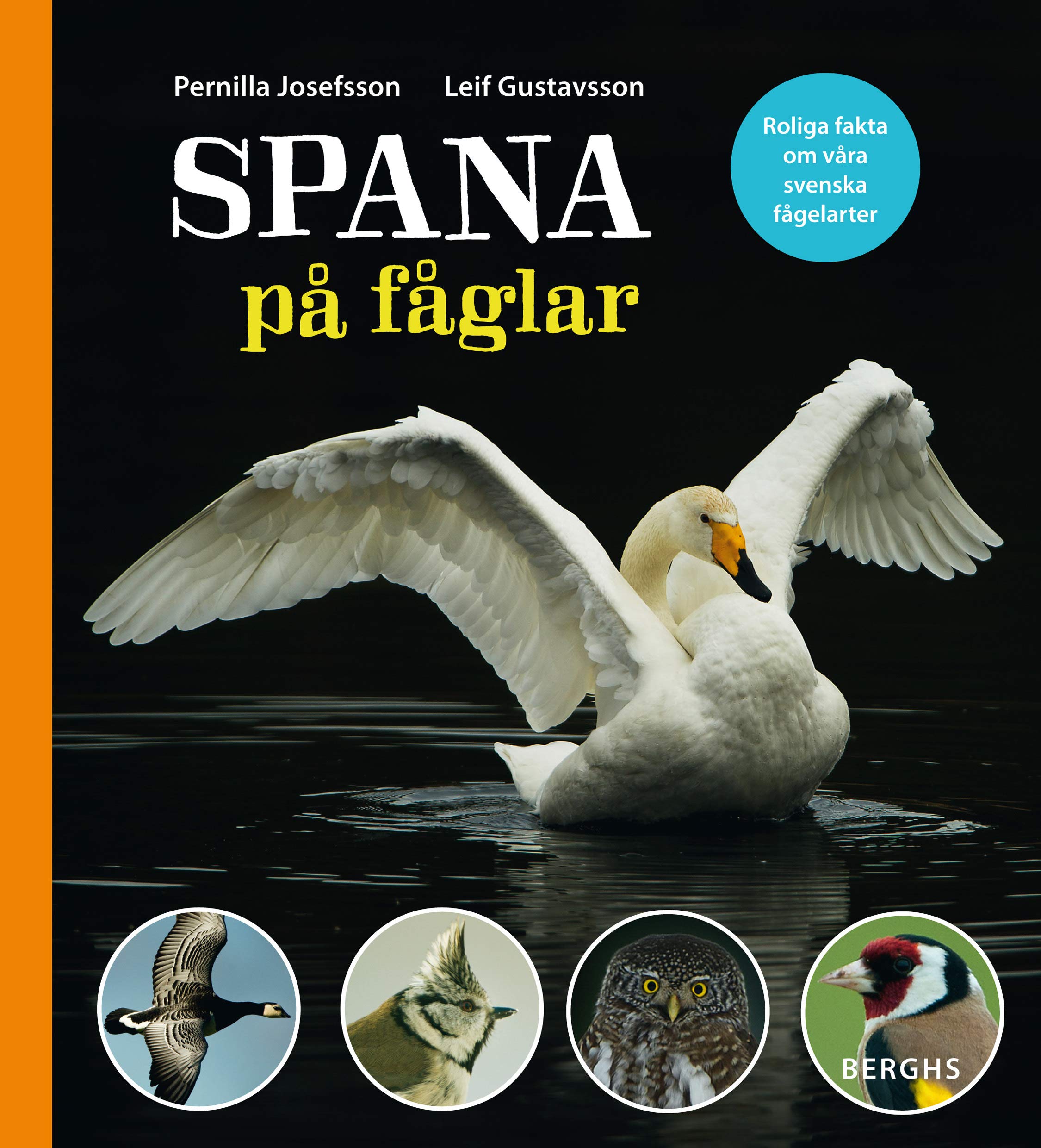 Spana på fåglar Young adult books