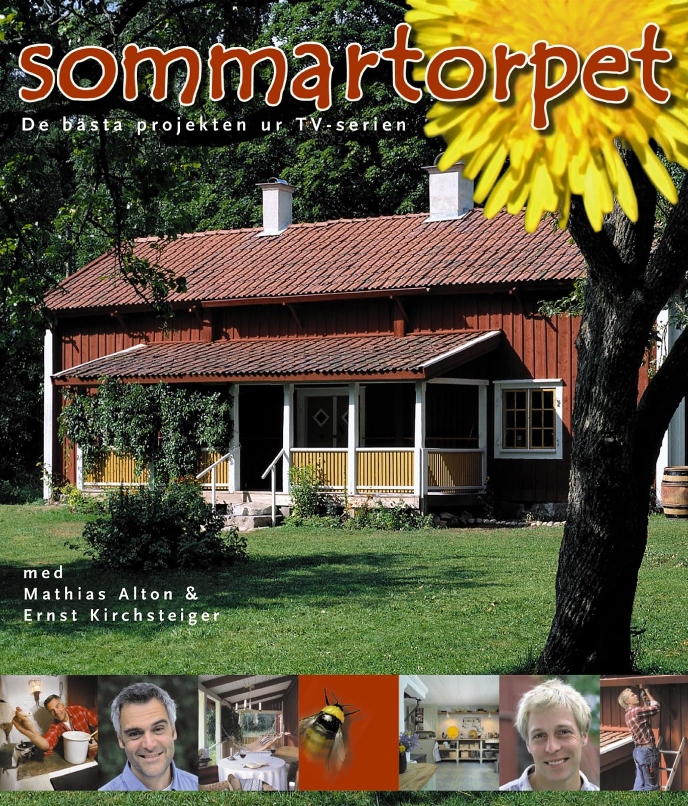 Sommartorpet : De bästa projekten ur TV-serien Books