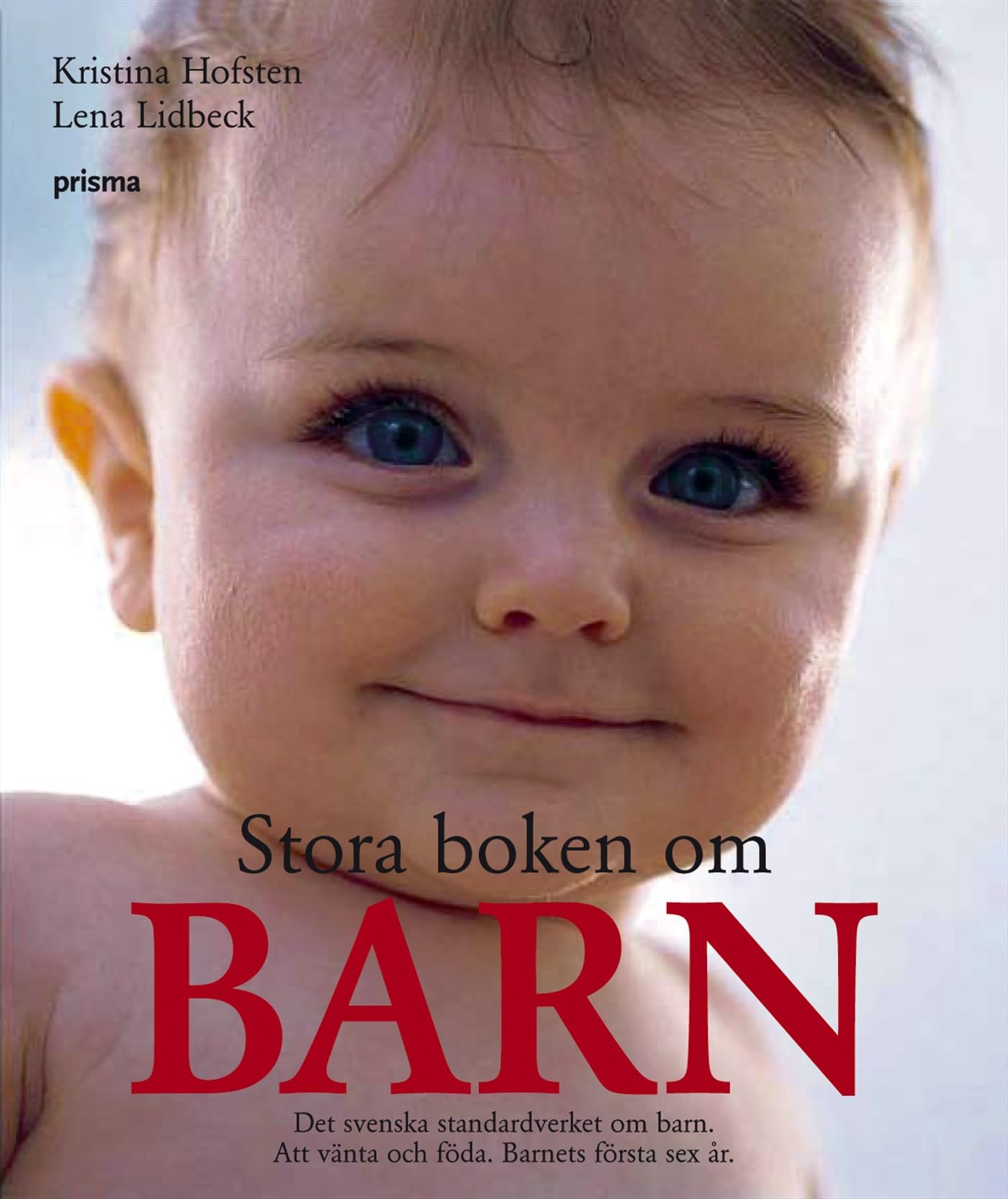 Stora boken om barn : att vänta och föda : barnets första sex år book