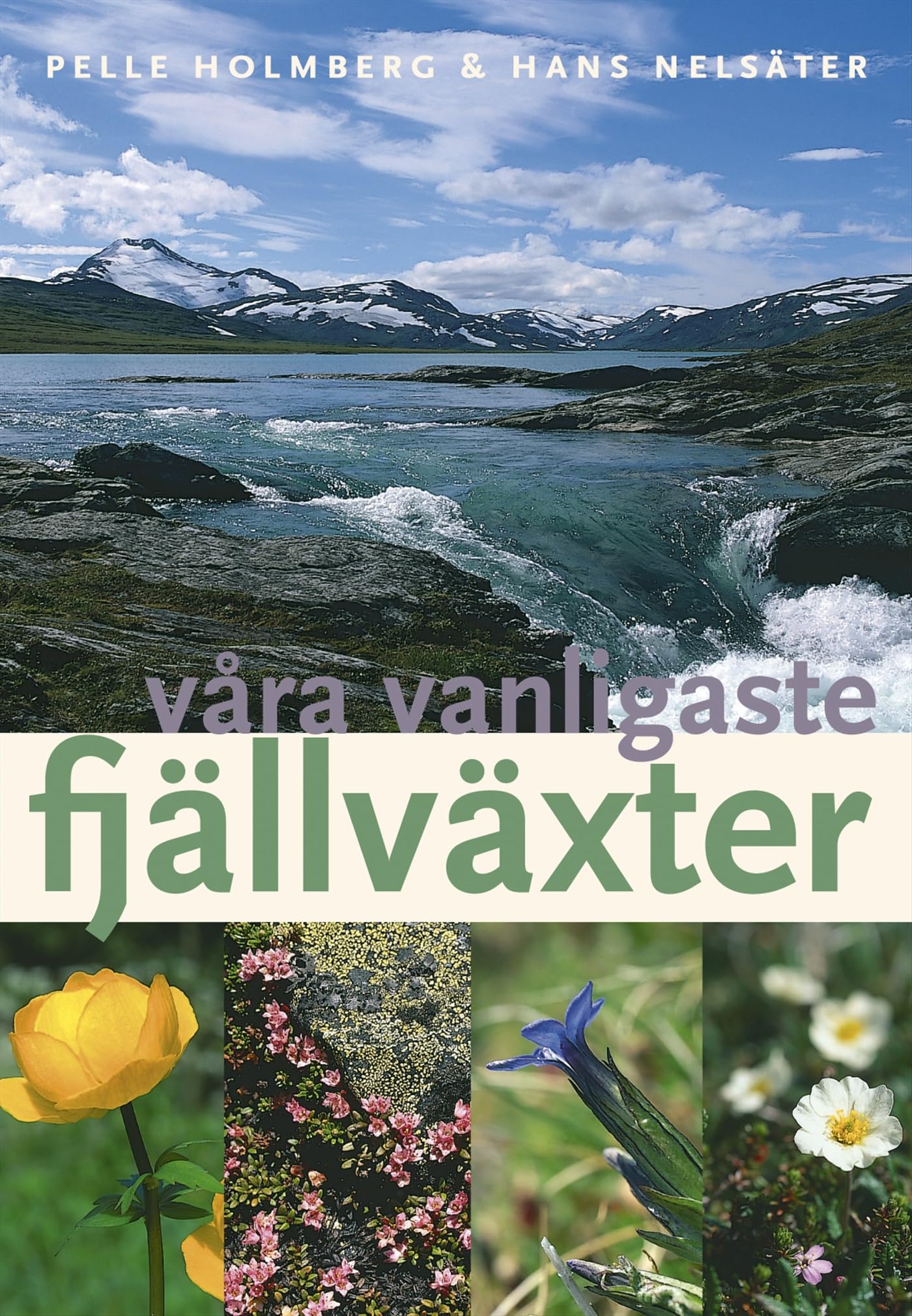 Våra vanligaste fjällväxter Books