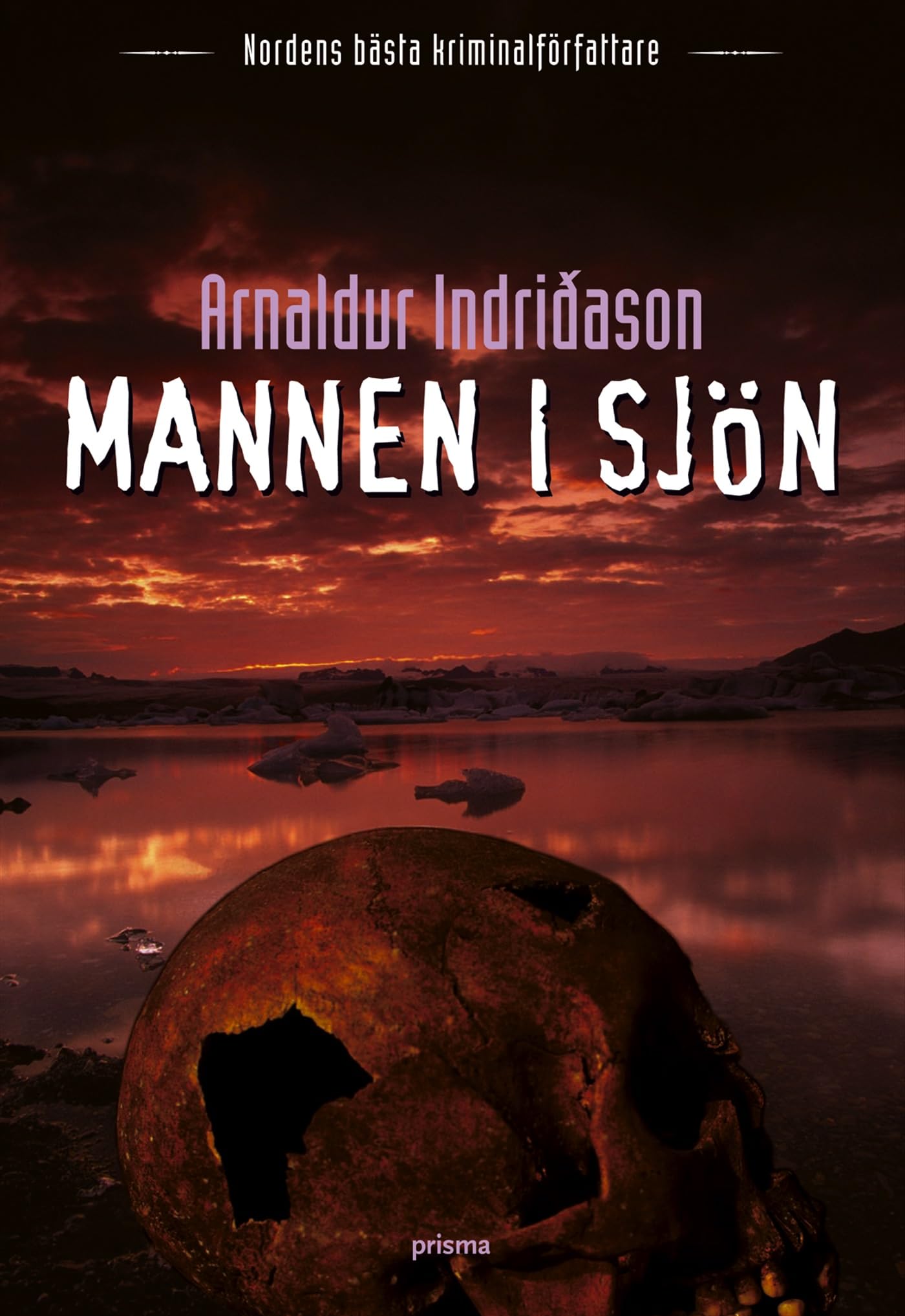 Mannen i sjön (Erlendur Sveinsson, Band 4) Contemporary literature