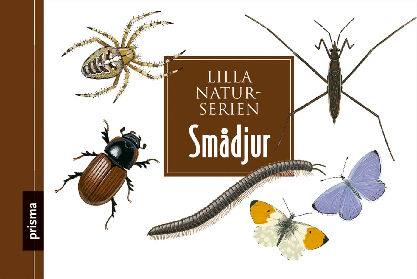 Smådjur (Lilla naturserien) Leisure, Home & Garden
