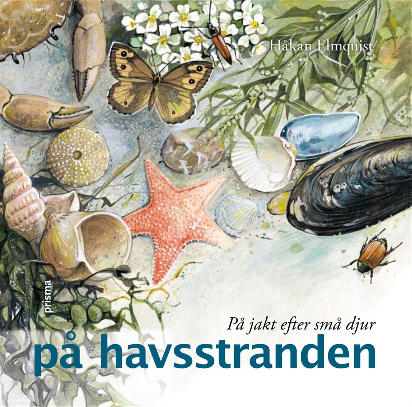På jakt efter små djur på havsstranden Business & Technology