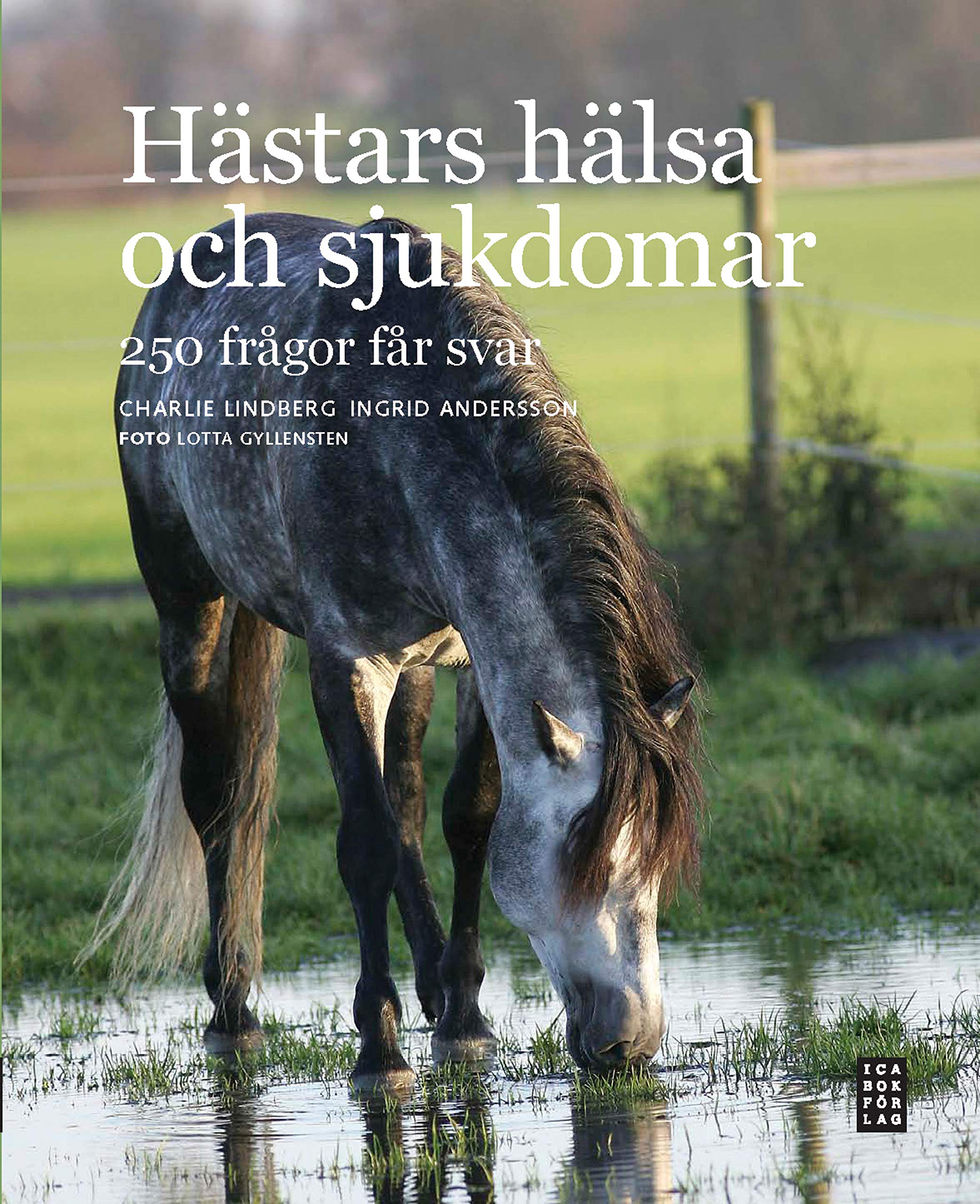 Hästars hälsa och sjukdomar - 250 frågor får svar book