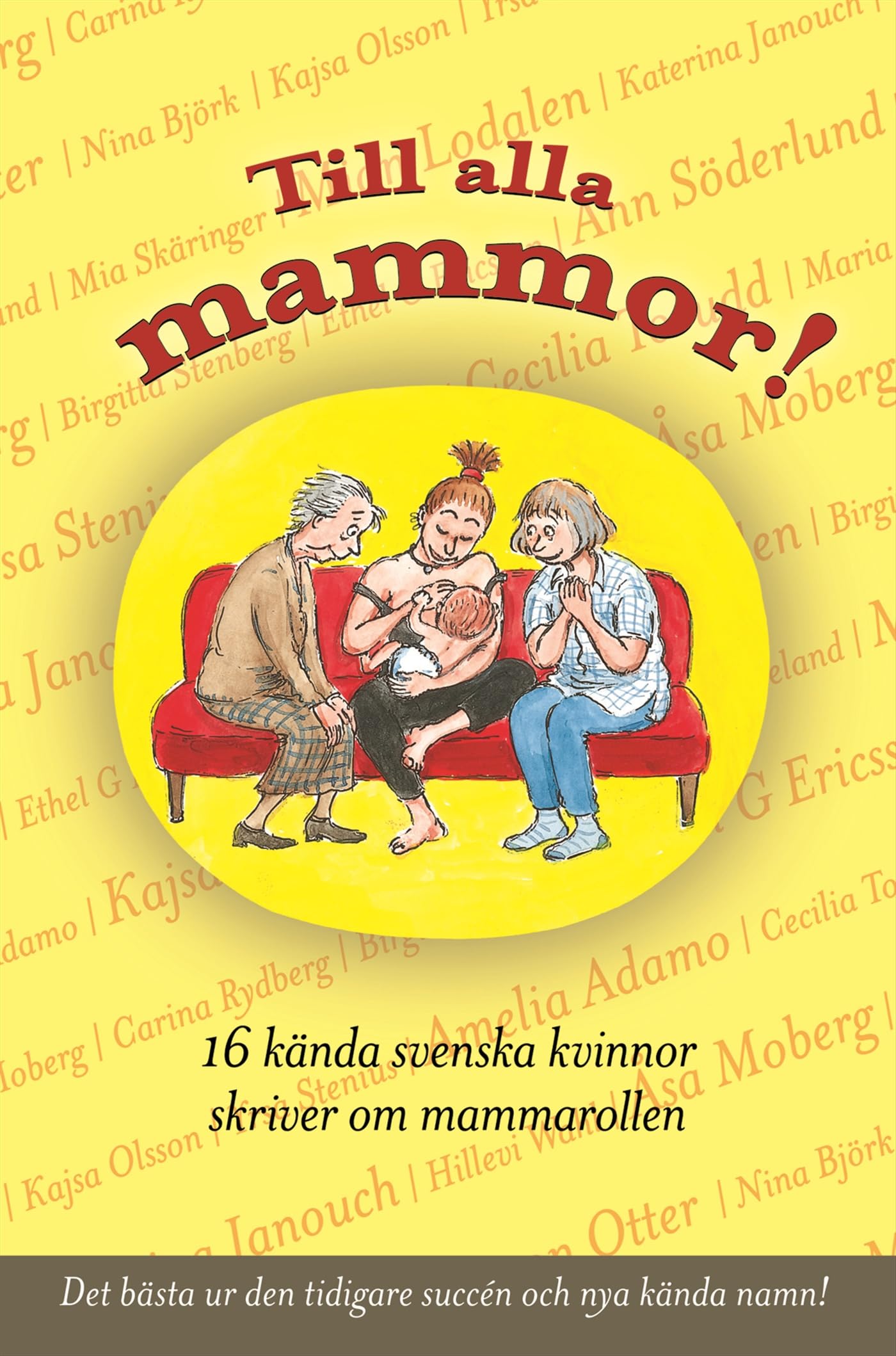 Till alla mammor! : 16 kända svenskar skriver om mammarollen Books