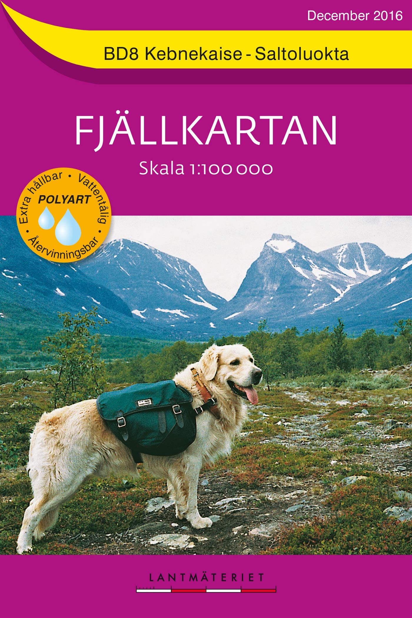 Fjällkartan 1 : 100 000 BD8 Kebnekaise - Saltoluokta Bergwanderkarte Leisure, Home & Garden